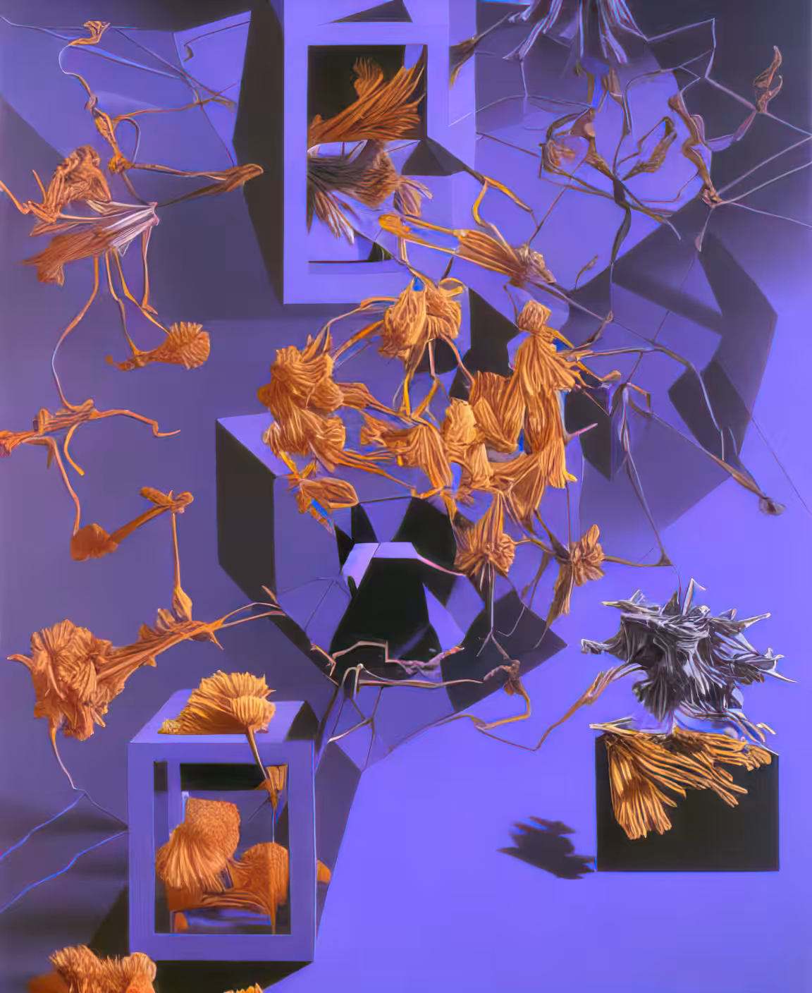 melted herbarium
