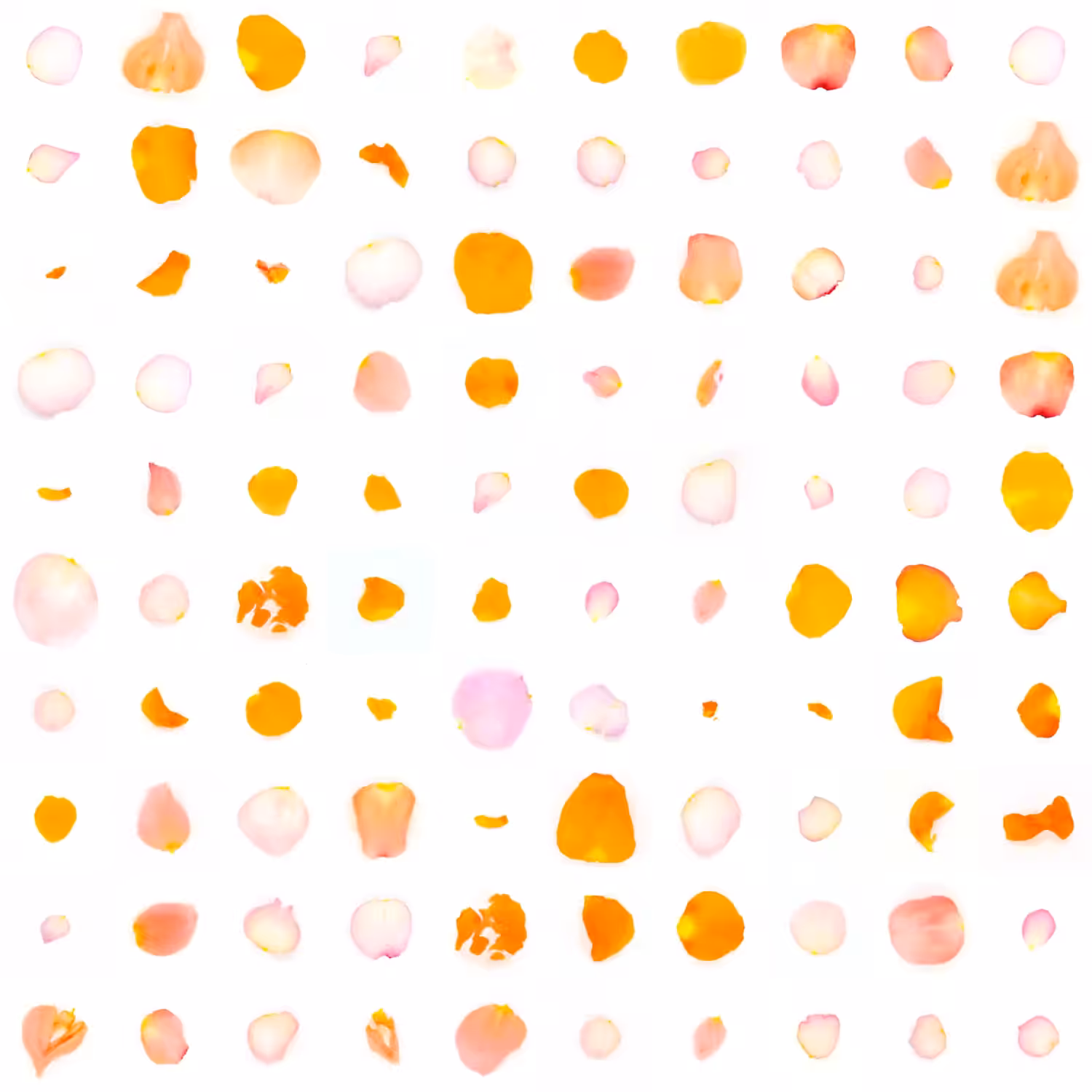 Infinite Petals 10x10#1039