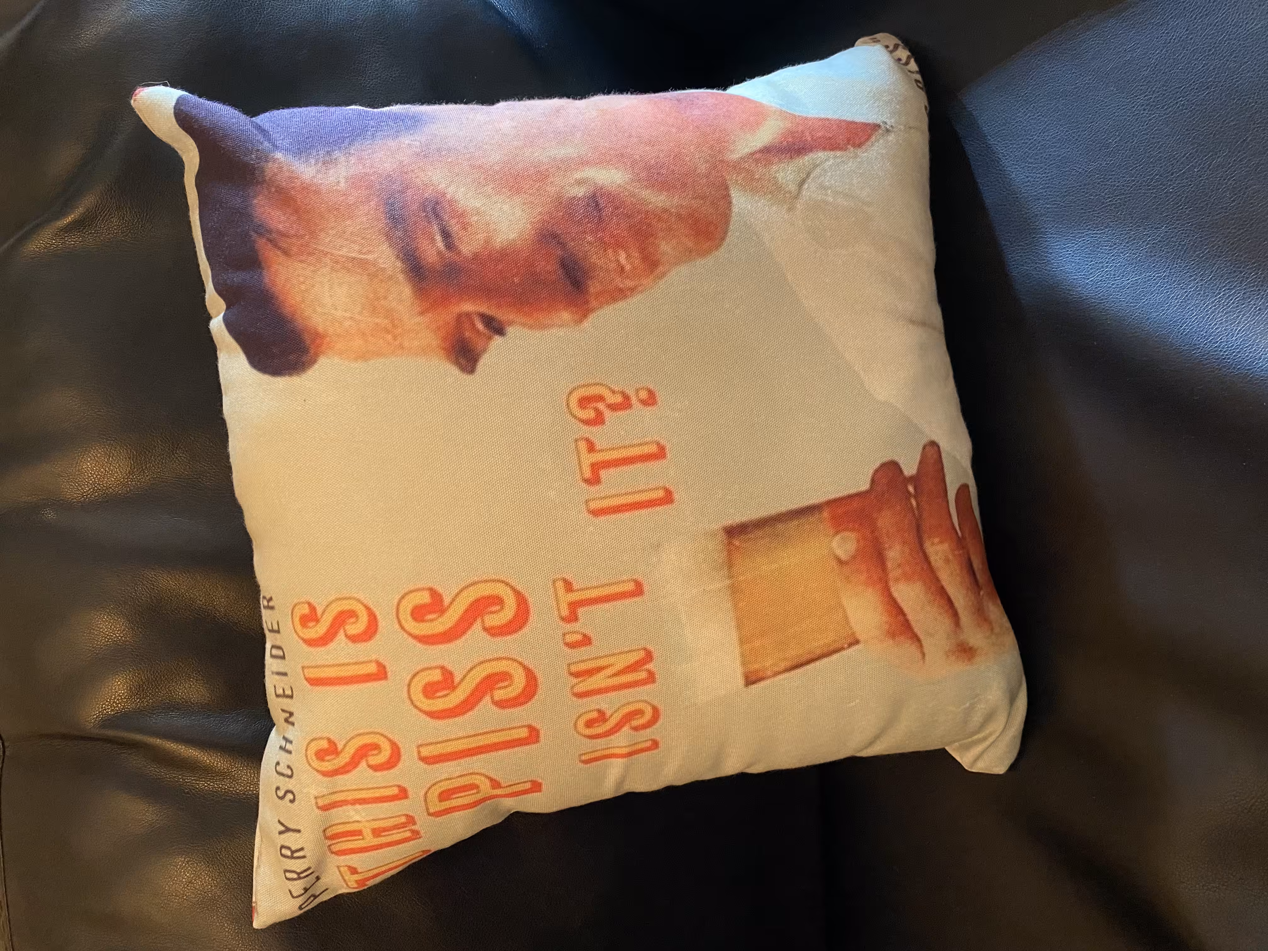 Perry Schneider Throw Pillow