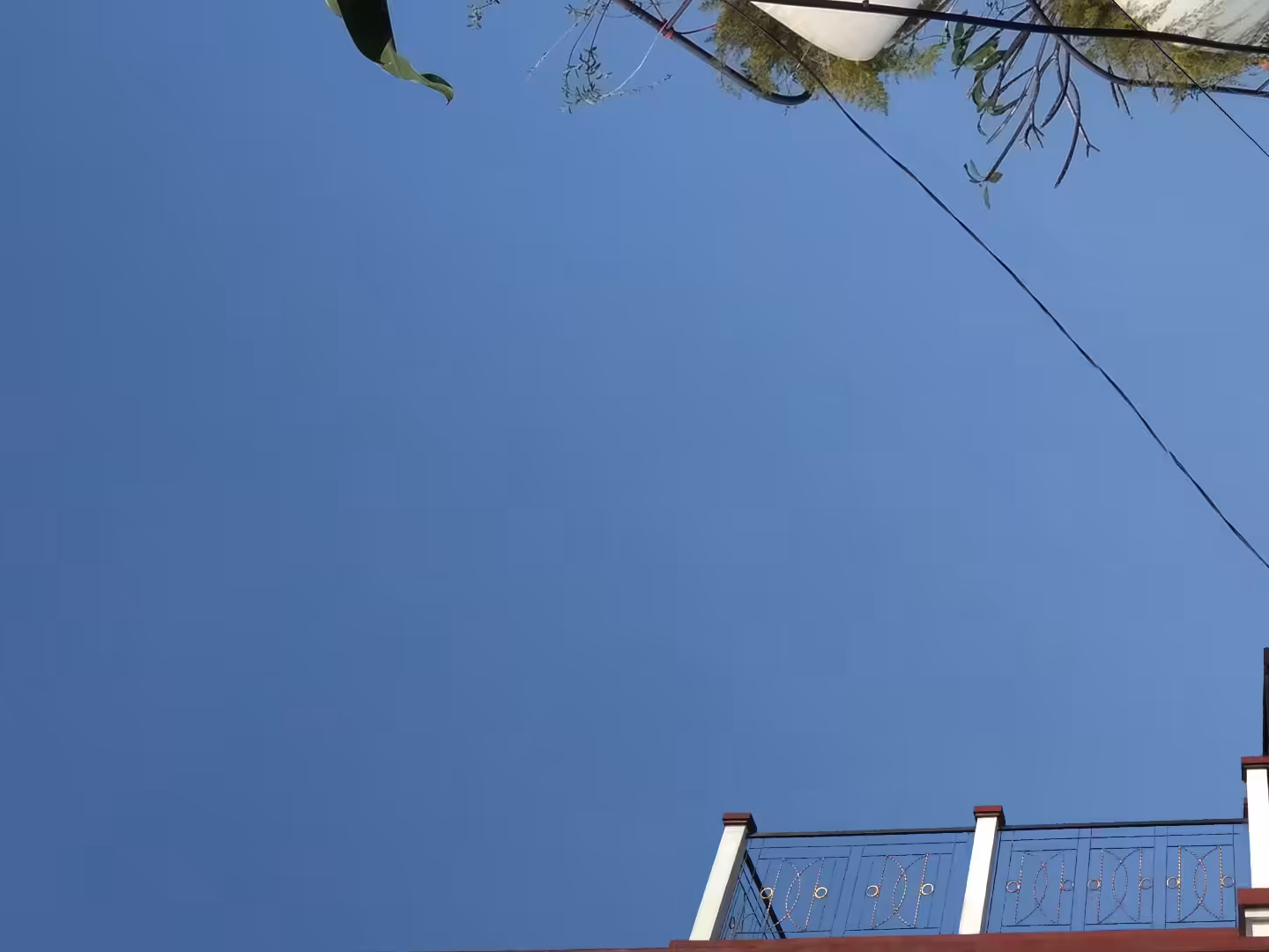 Blue Screen #24