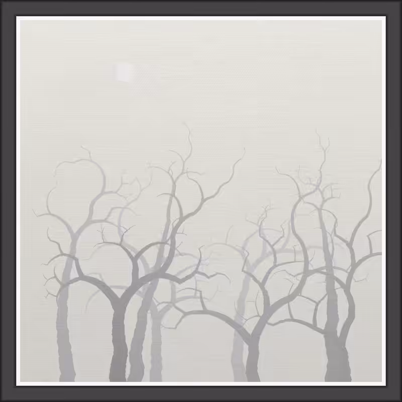 The Foggy Trees #24