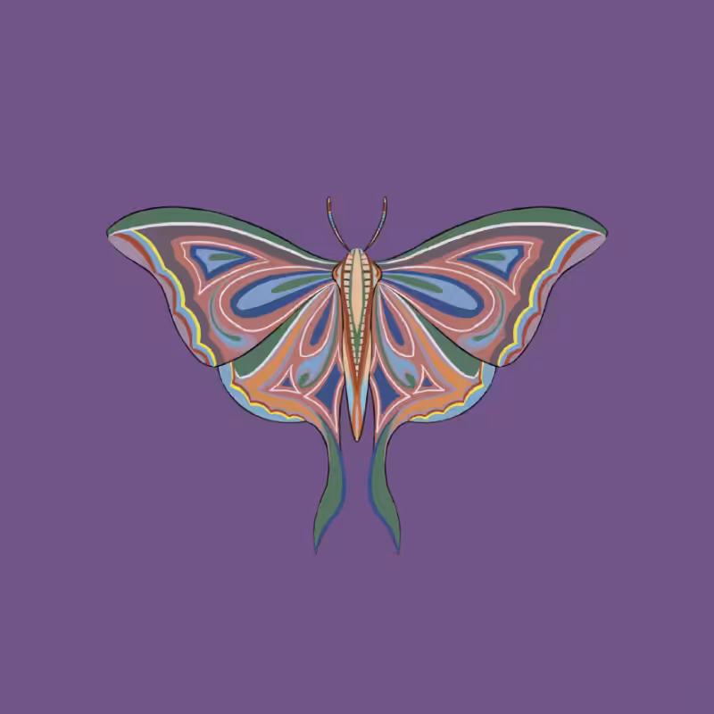 The Moth Experiment 2.0 P2 #1
