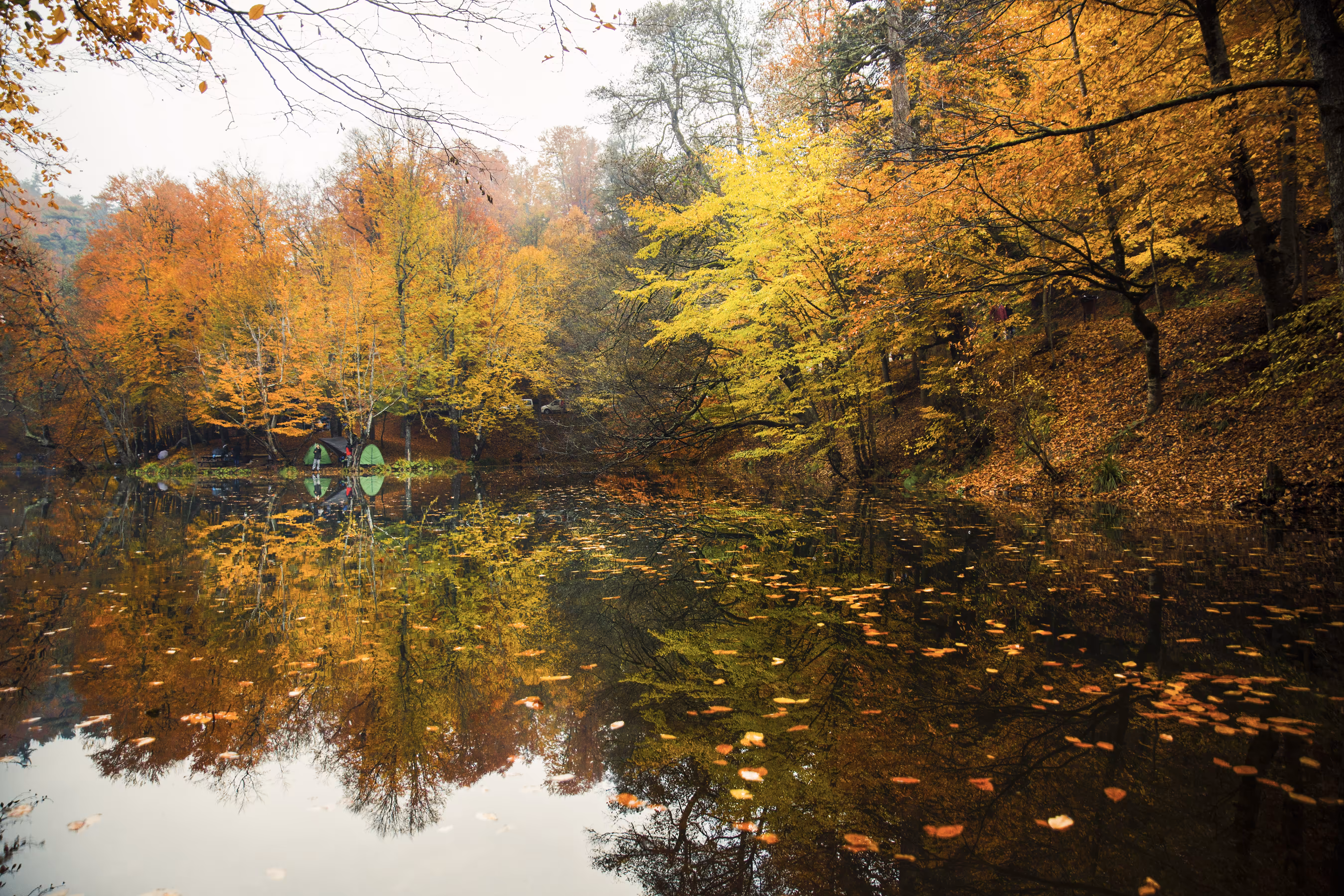 Colors Of Nature #3
