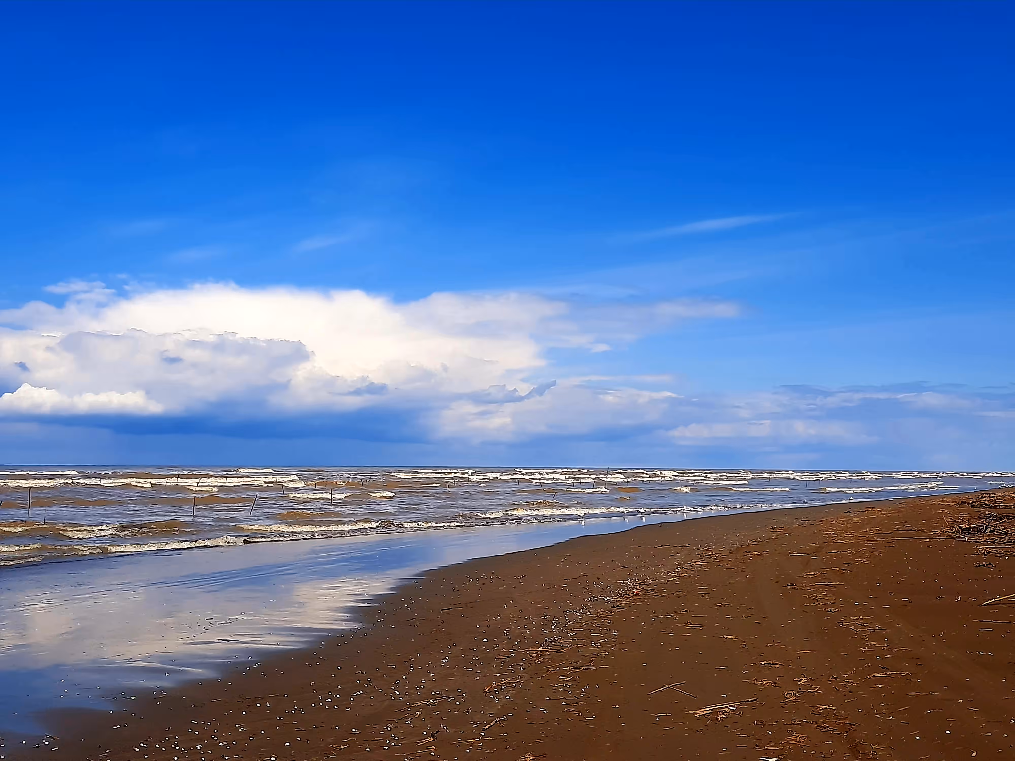 Along the coast