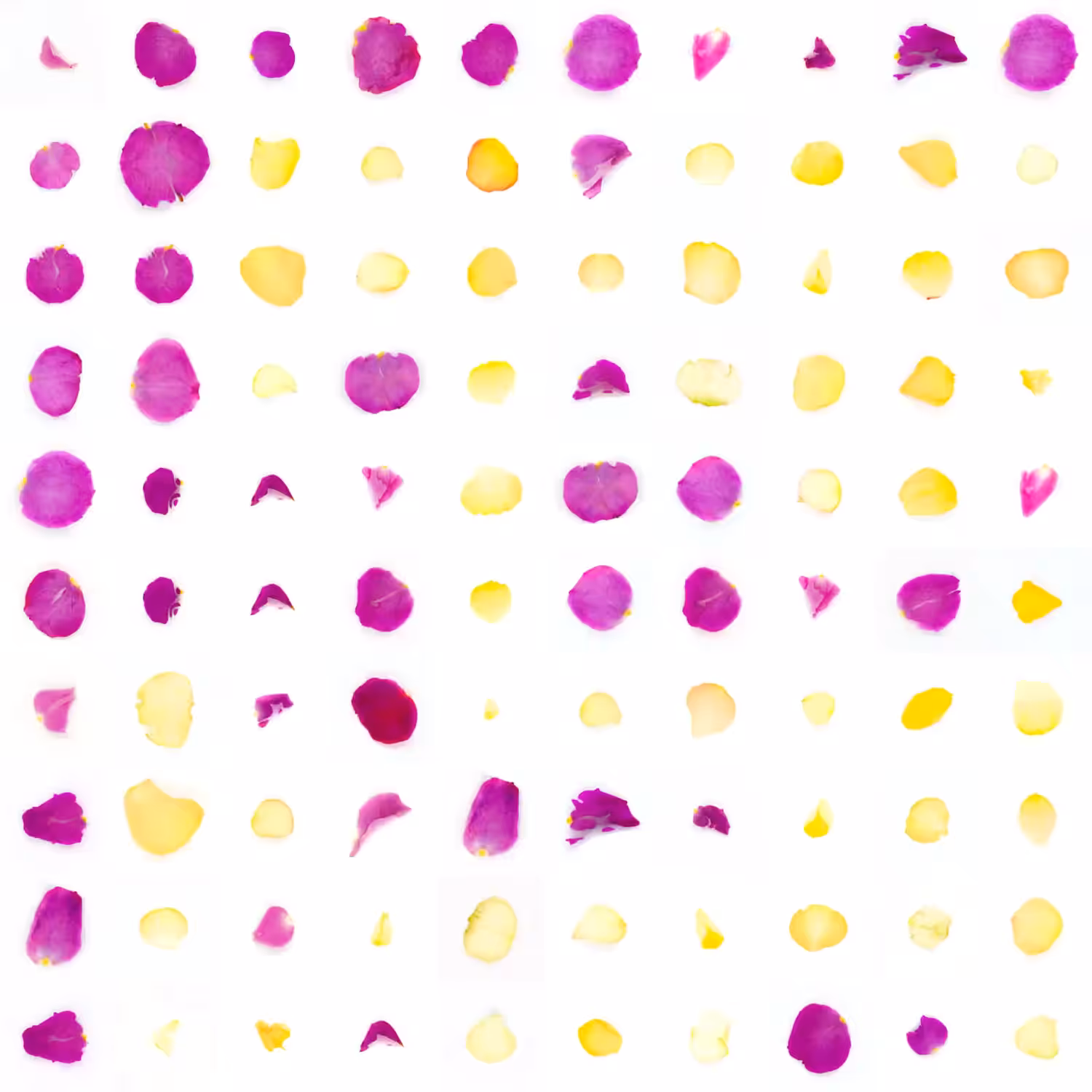 Infinite Petals 10x10#10025