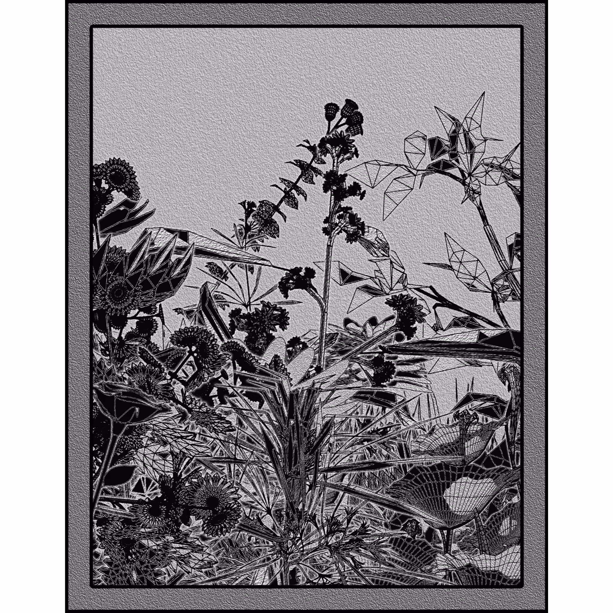 Flower View #203