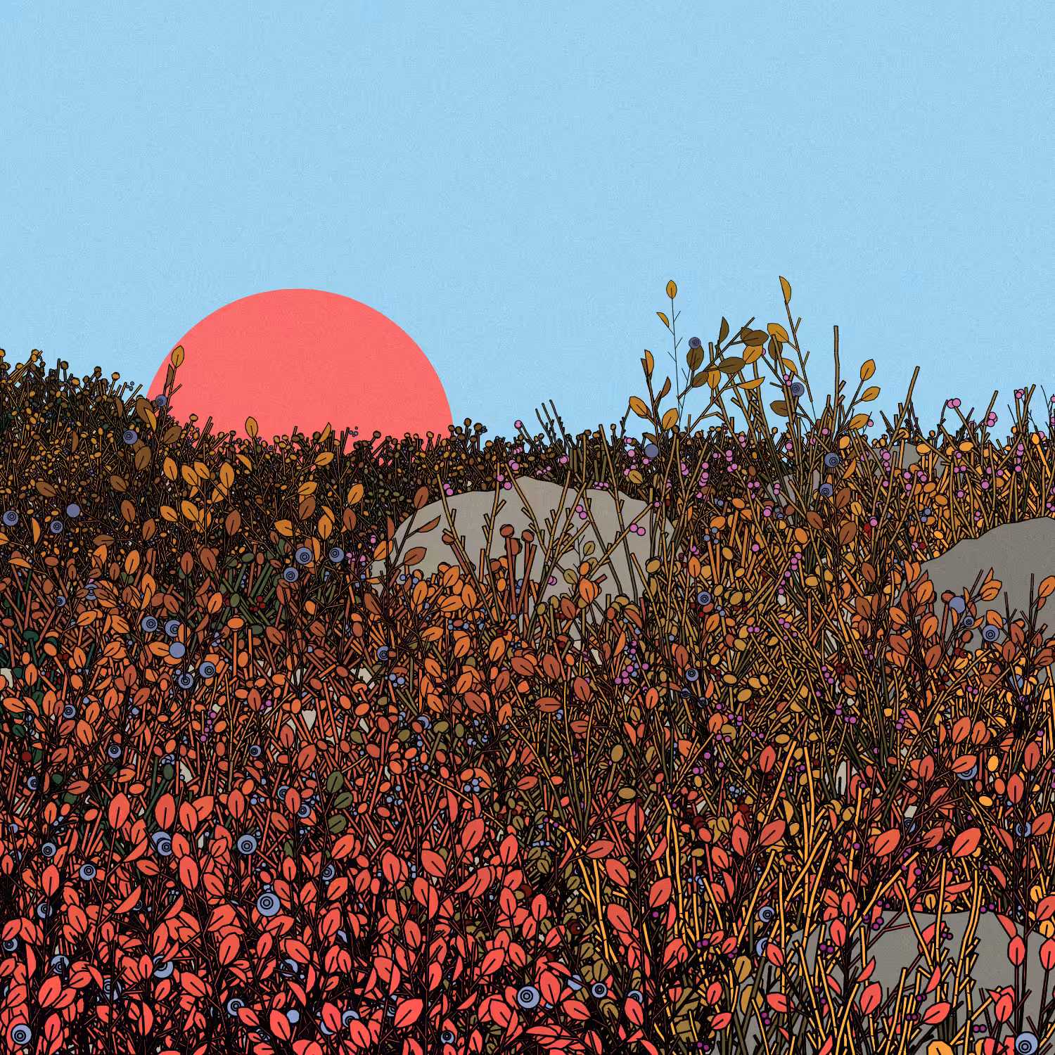 Swedish Forest #94