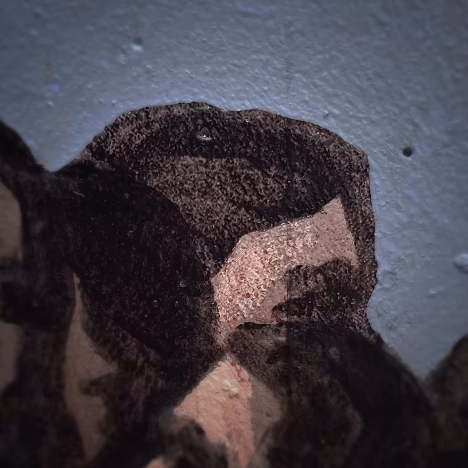 082 - The hidden man