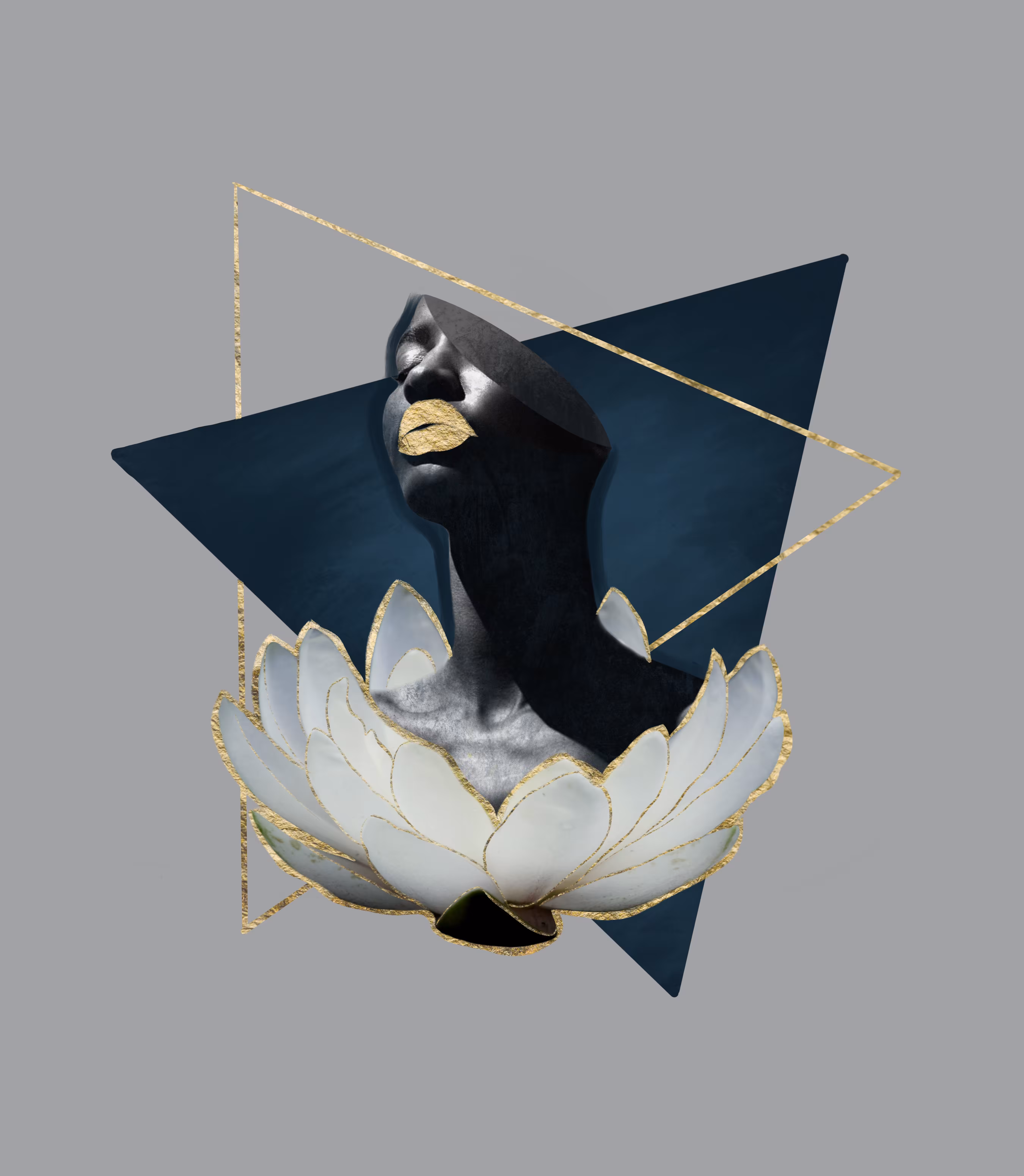 Lotus,no.5