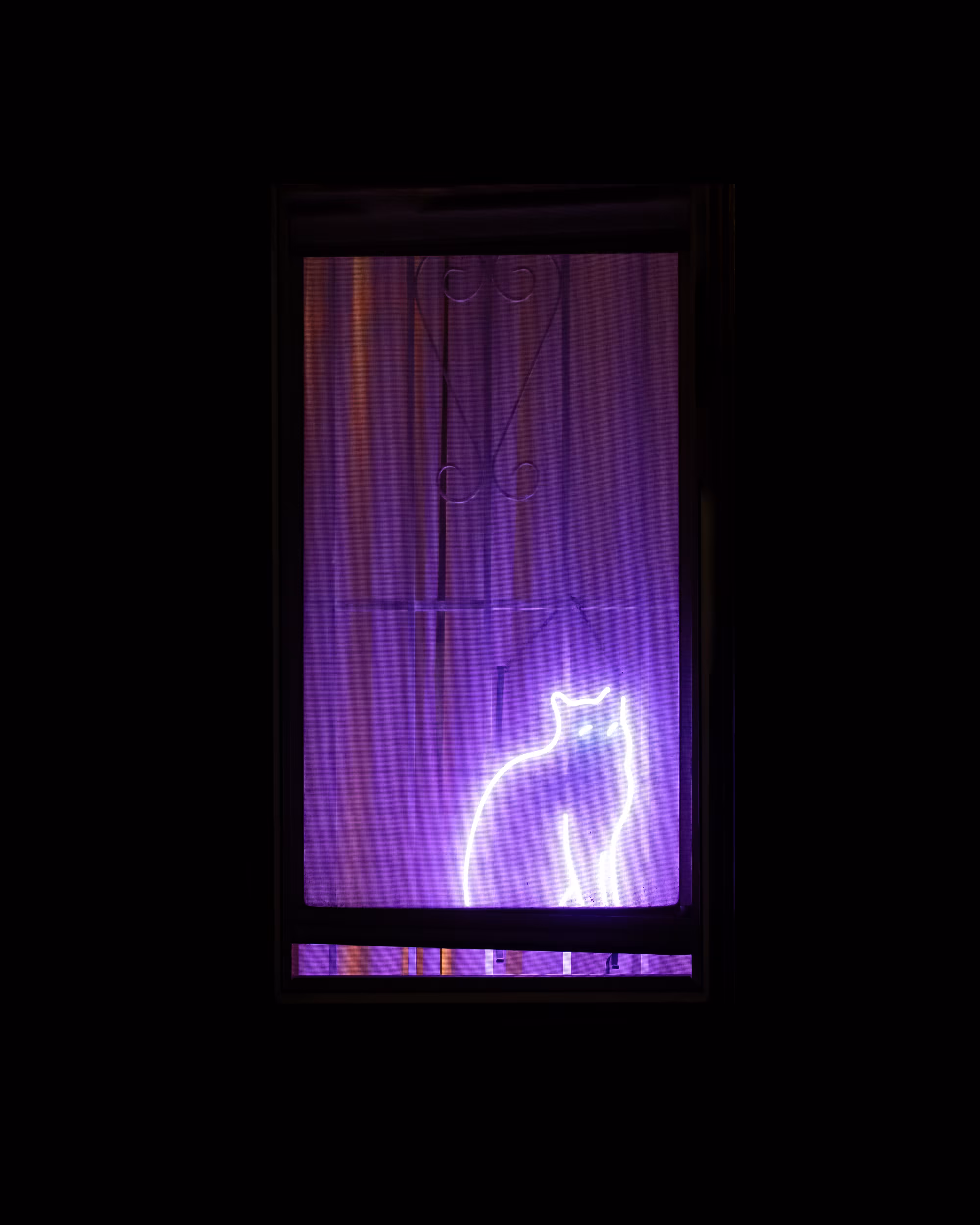 WINDOW 766