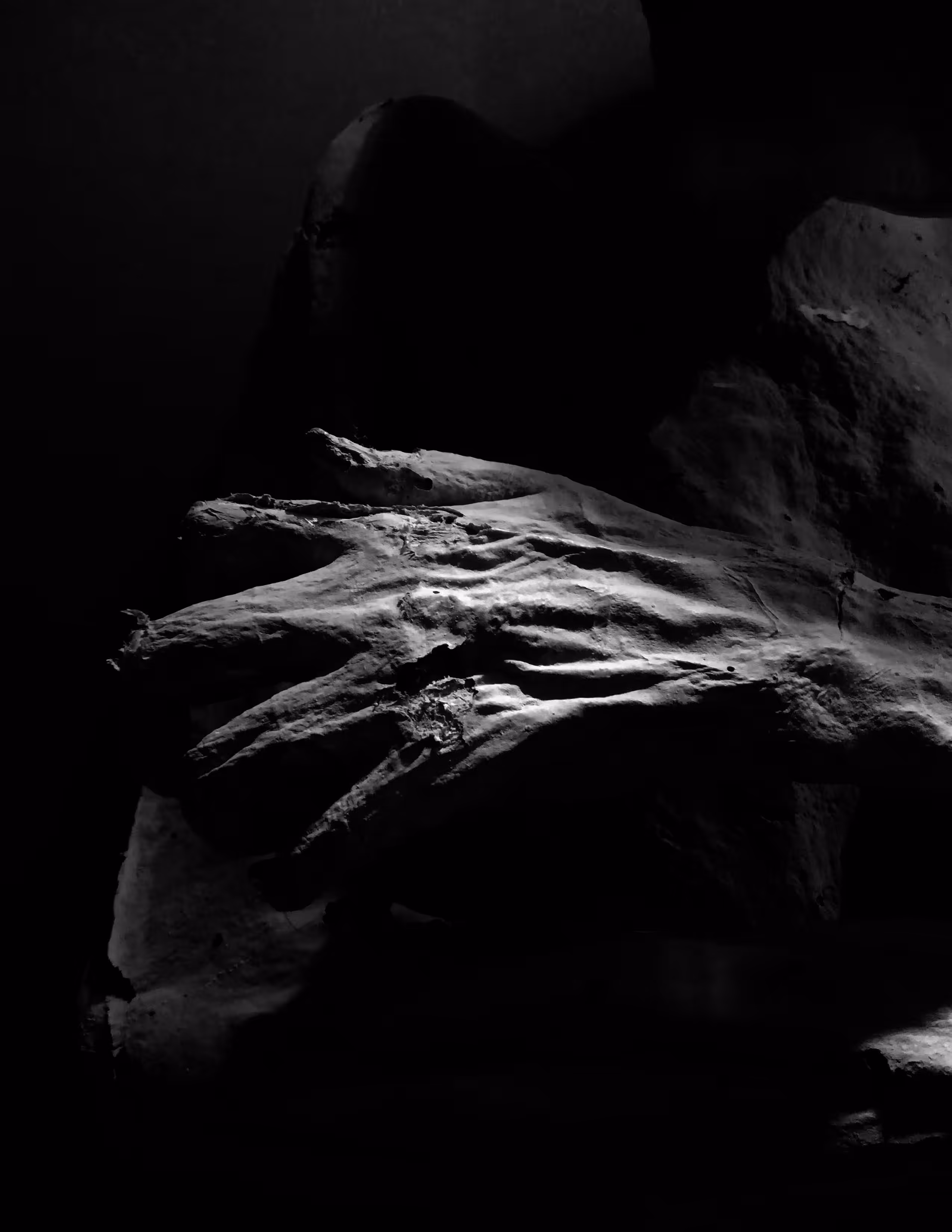 the hand that takes | la main qui prend | la mano que toma