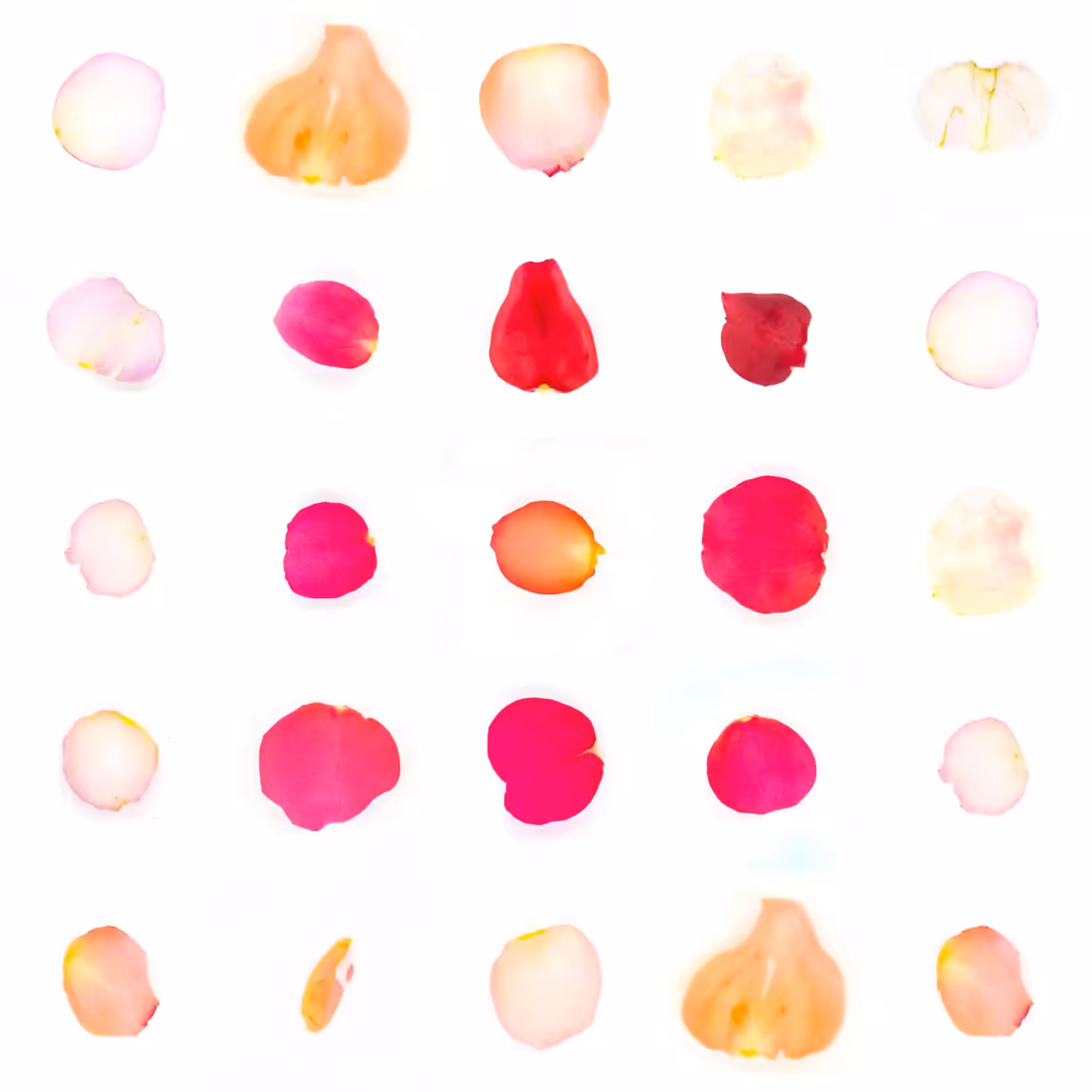 Infinite Petals 5x5#3962