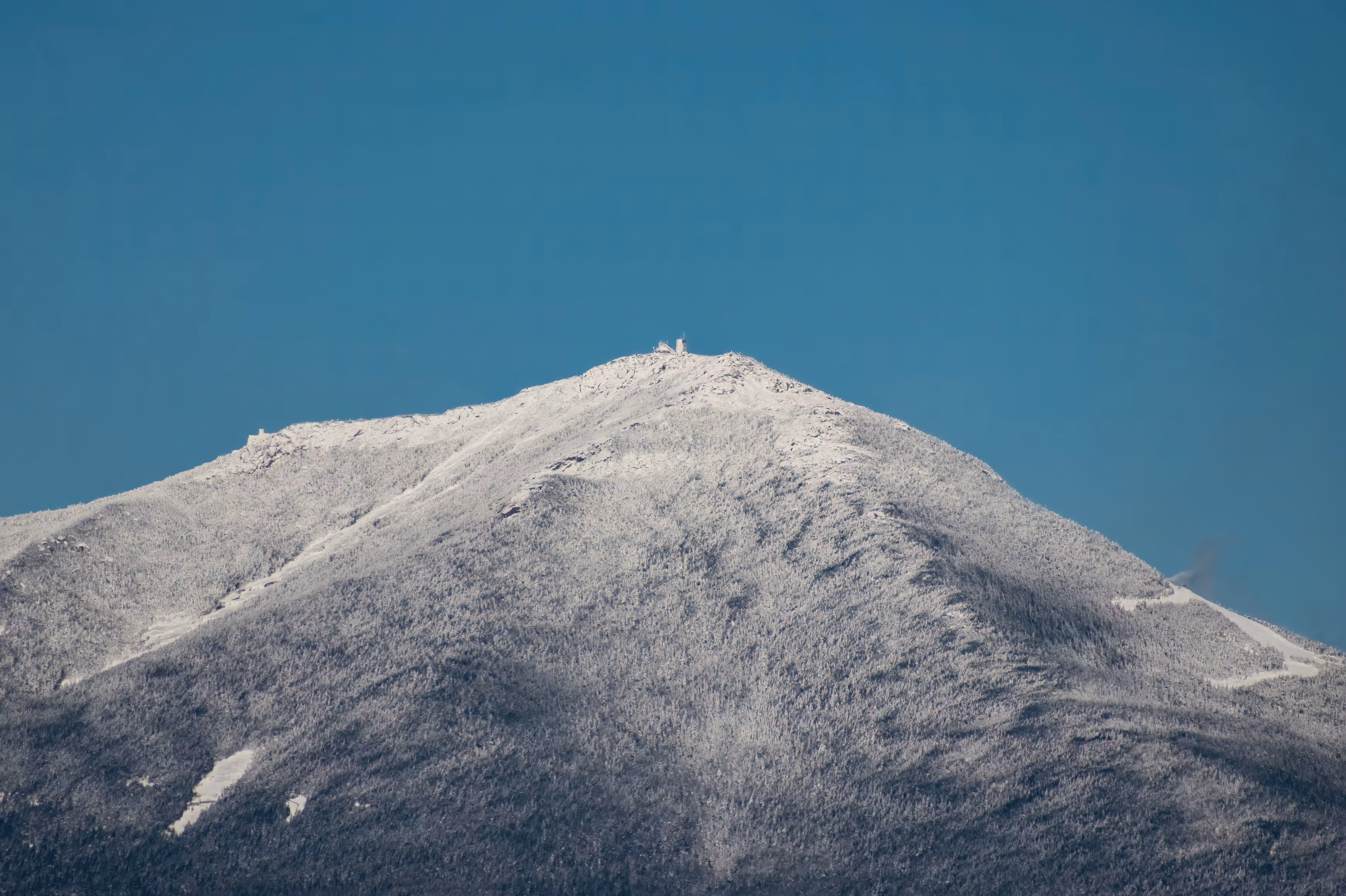 Whiteface Winter