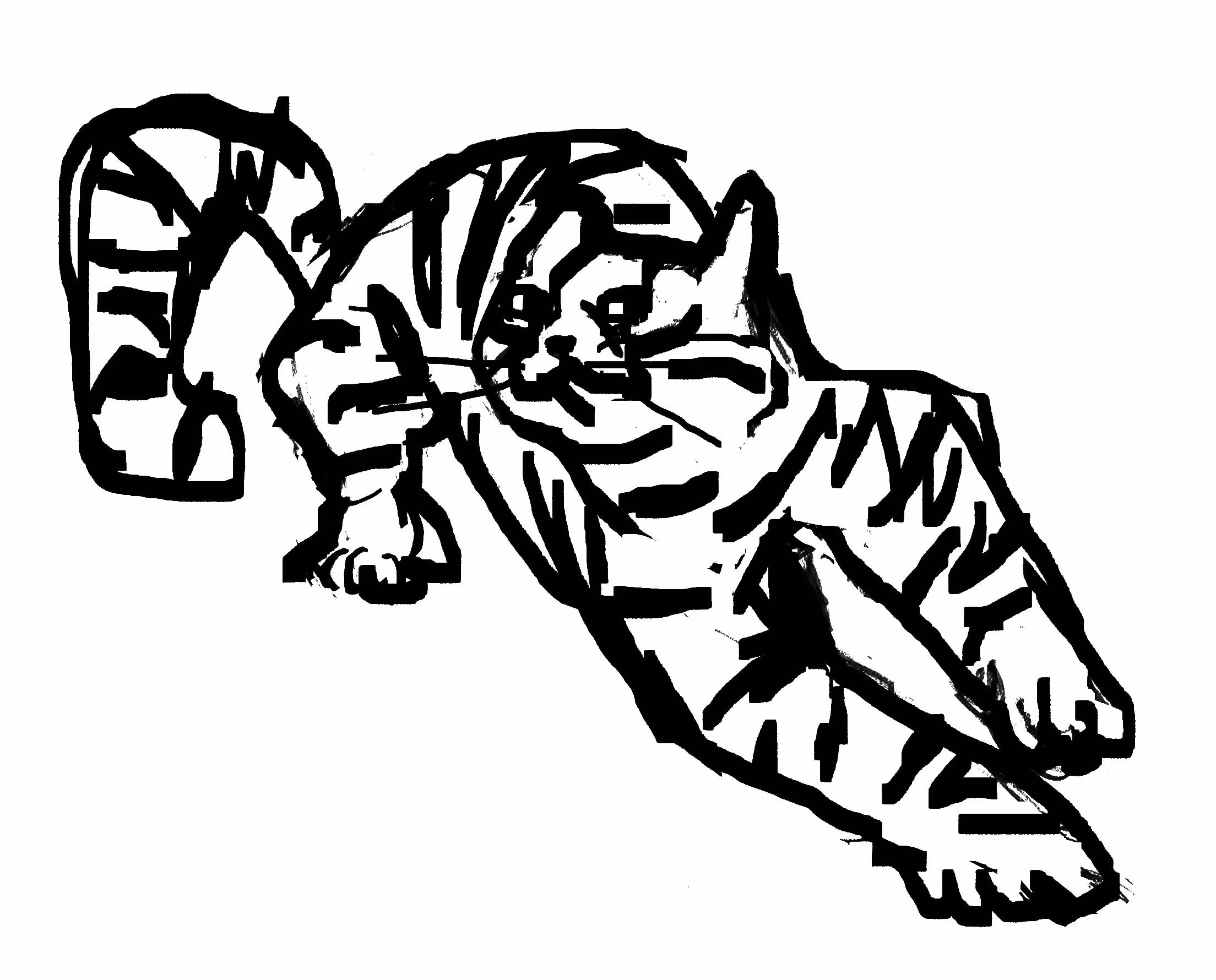 Day 5 Cat