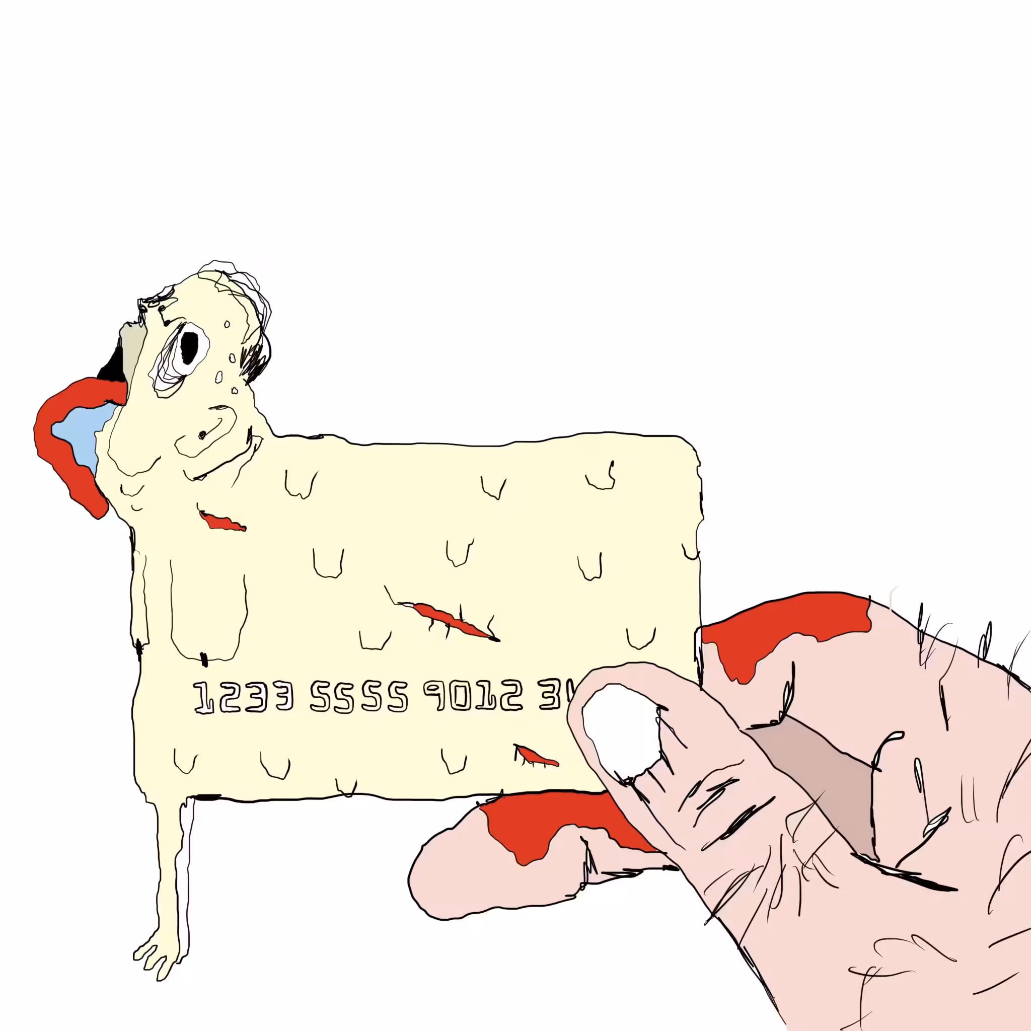 not visa's punk