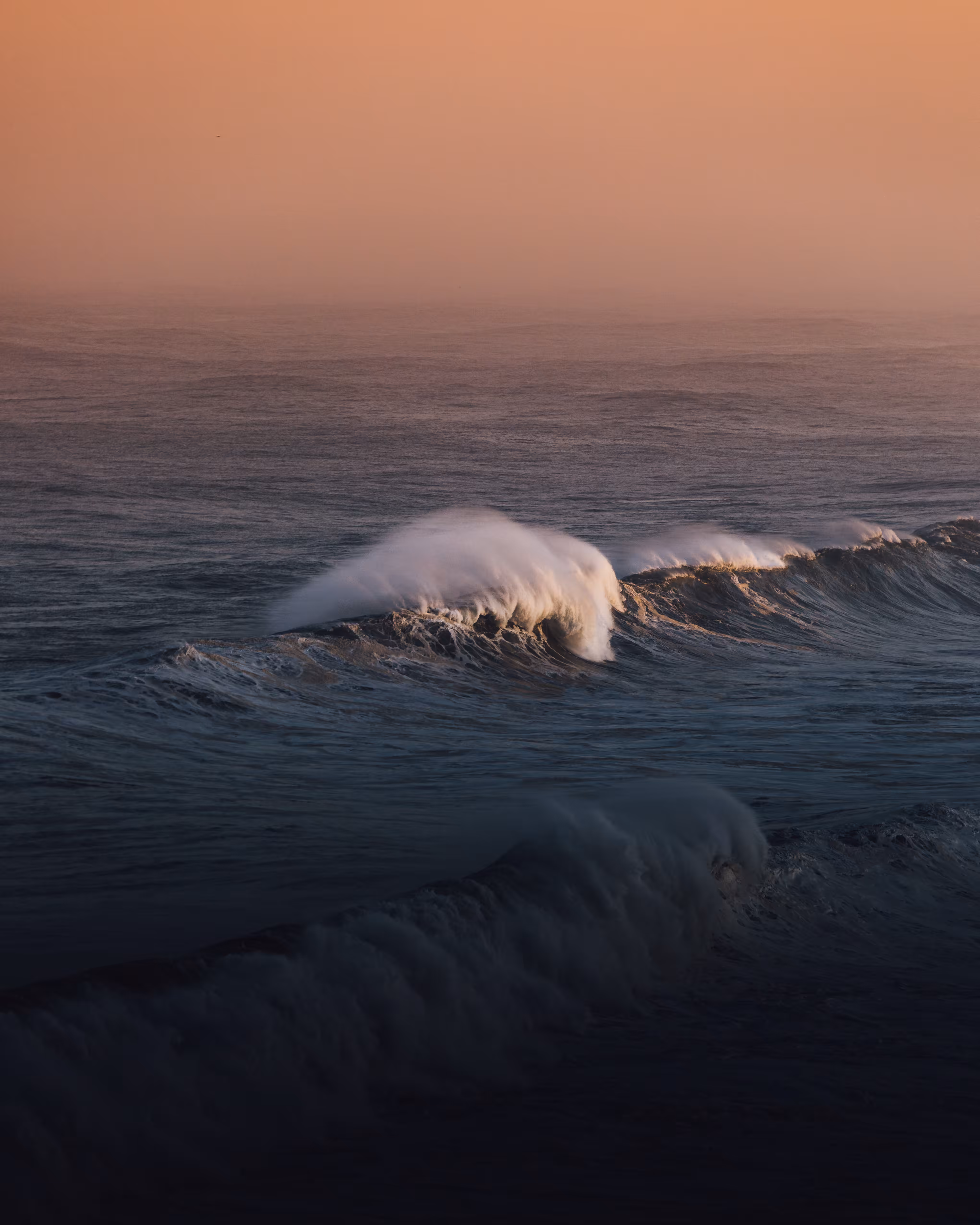 Dreamy Wave Edition
