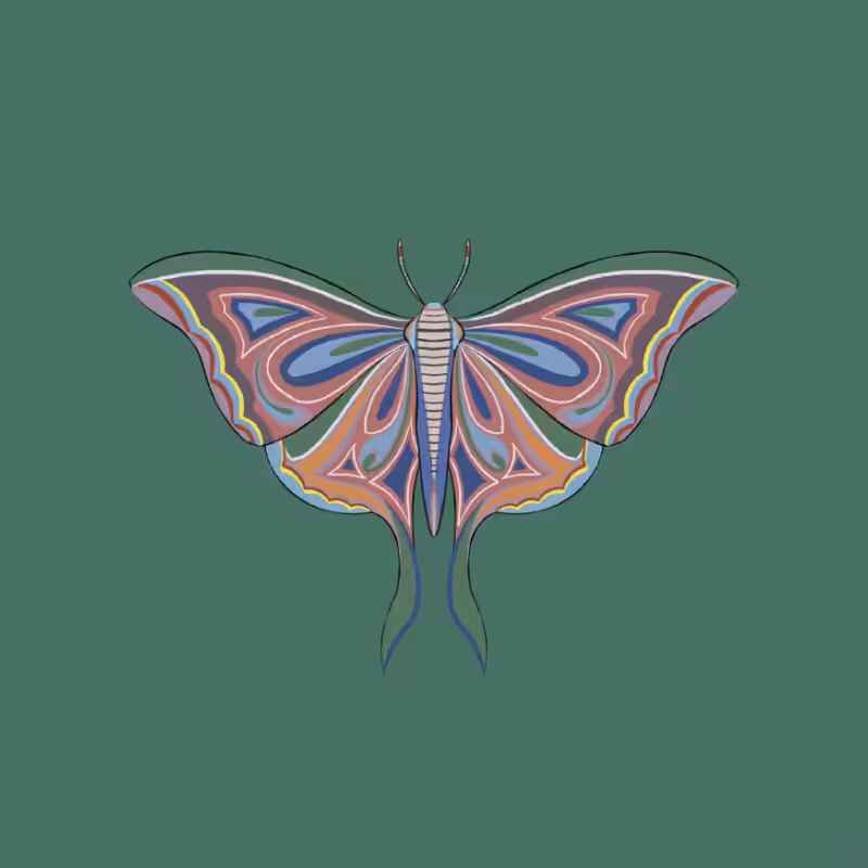 The Moth Experiment 2.0 P2 #13