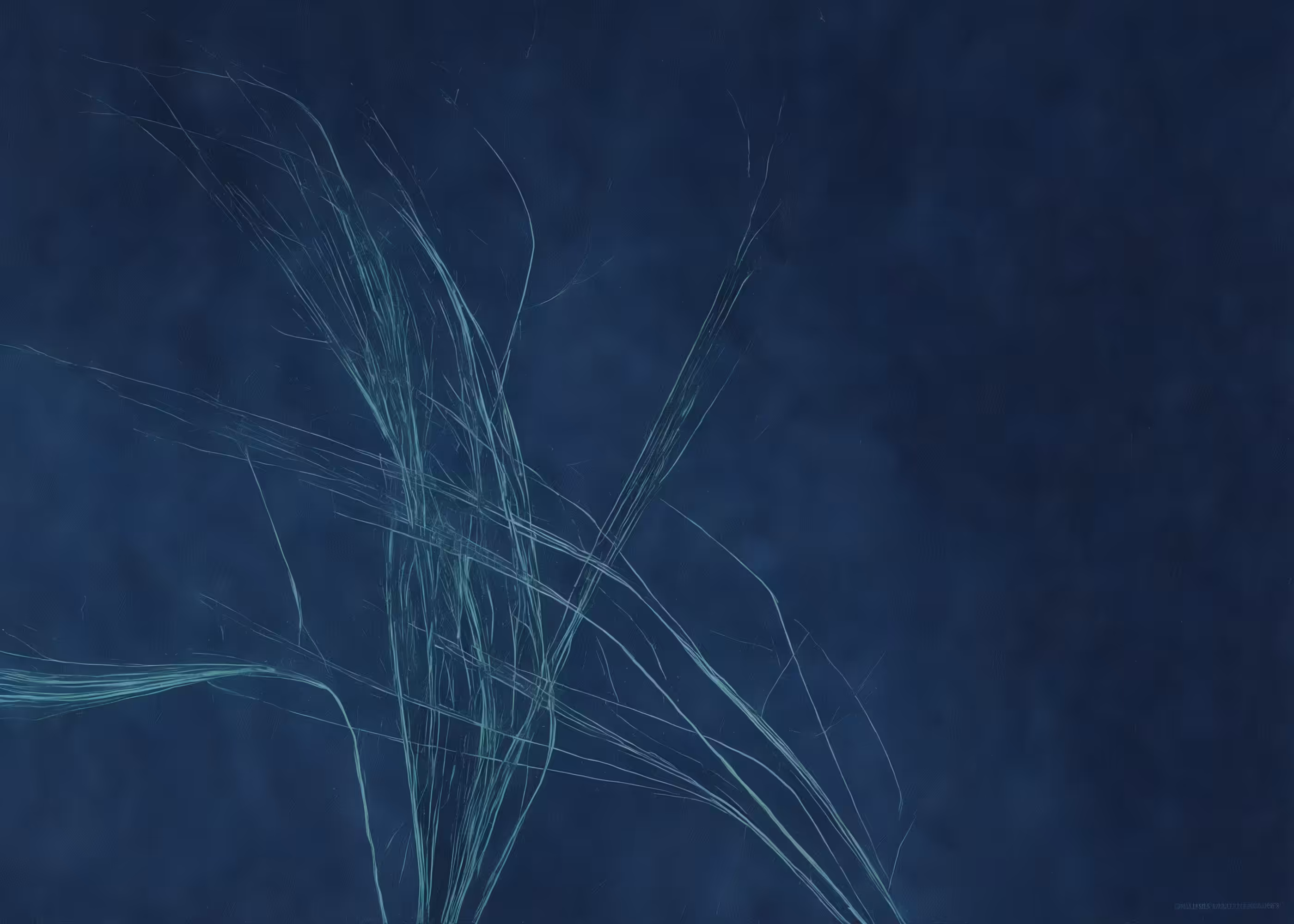 Lumens #6