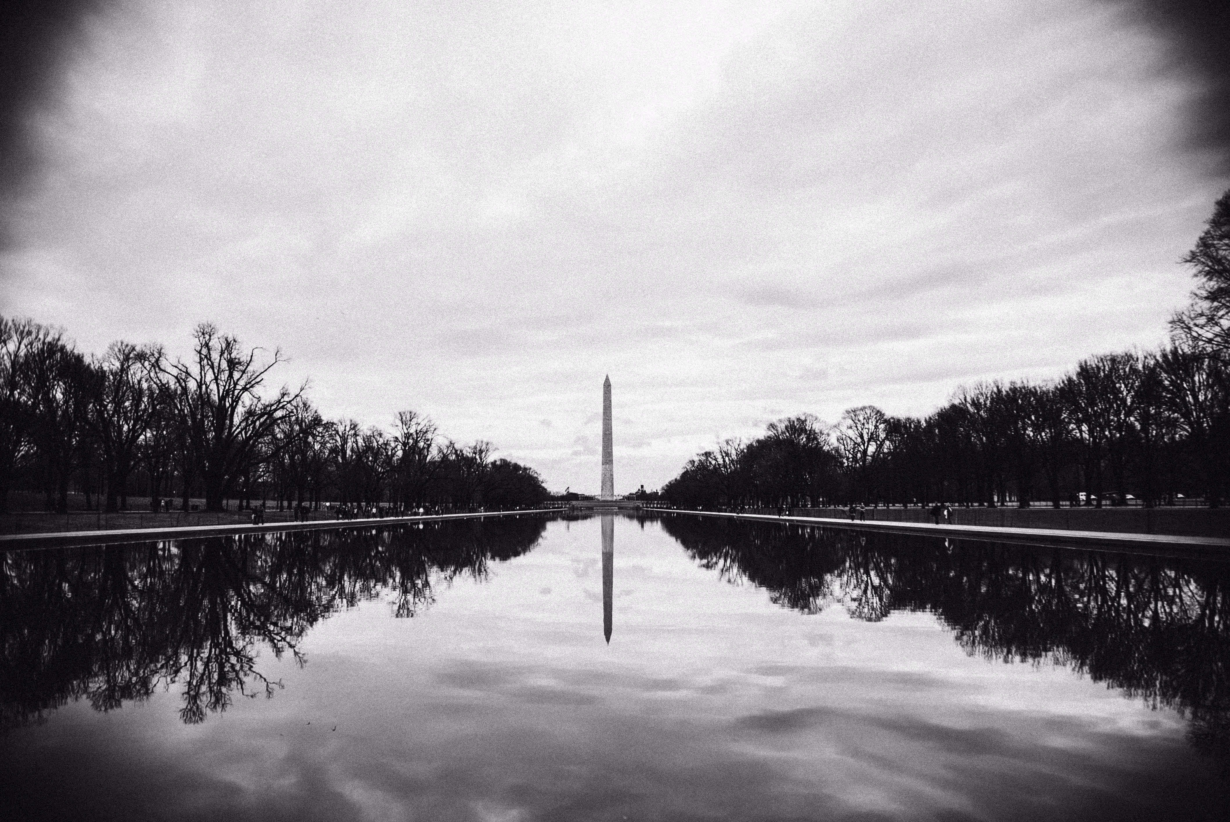 The Washington Monument 
