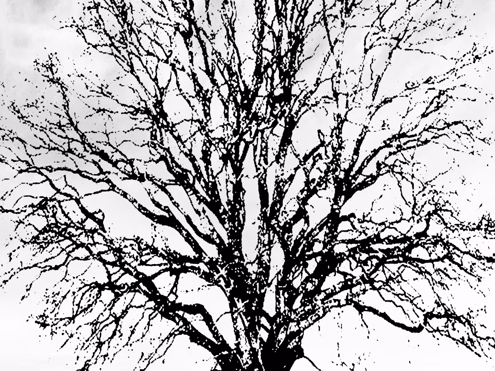 skyscapes: 22