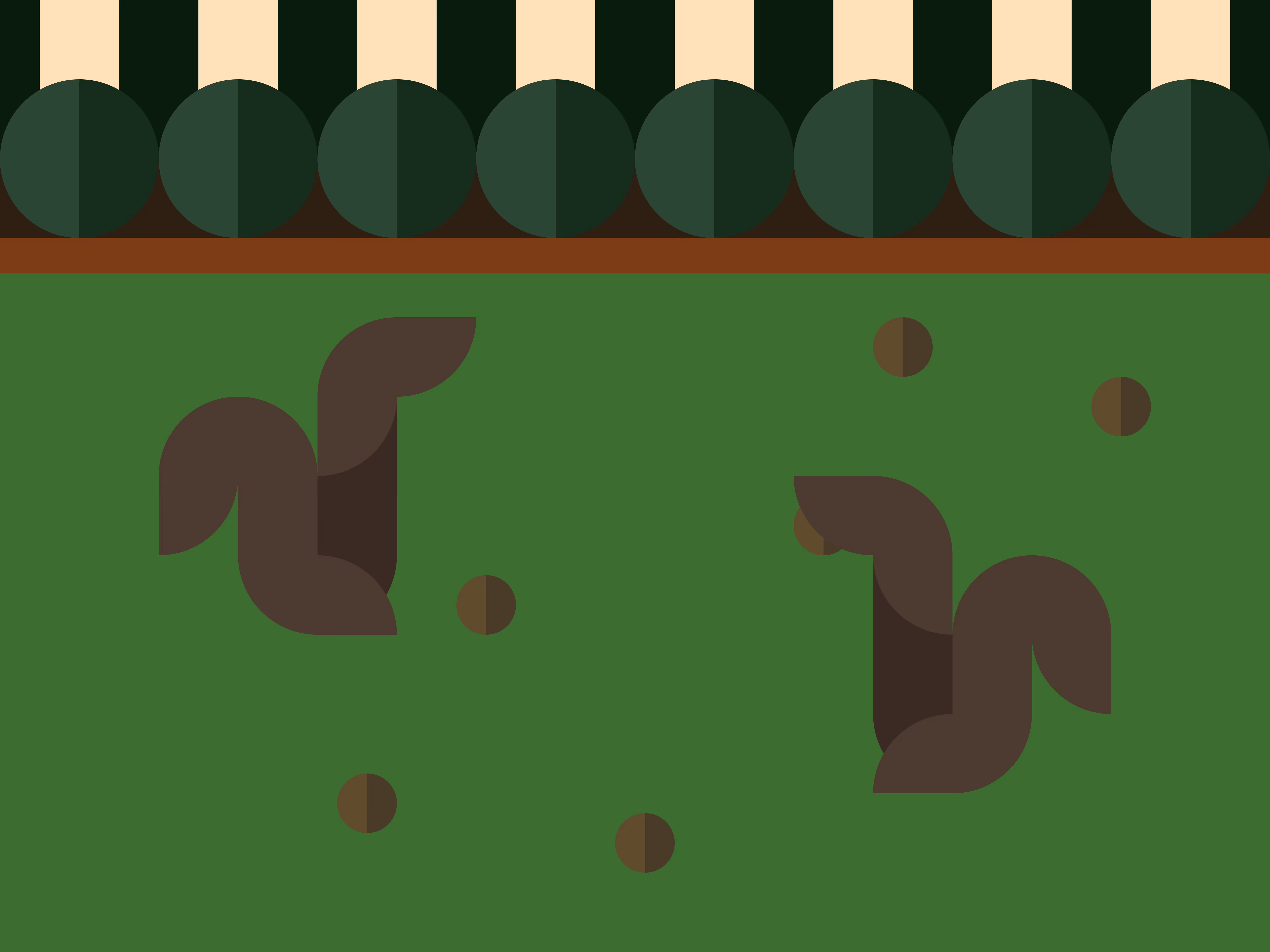 Squirrels 