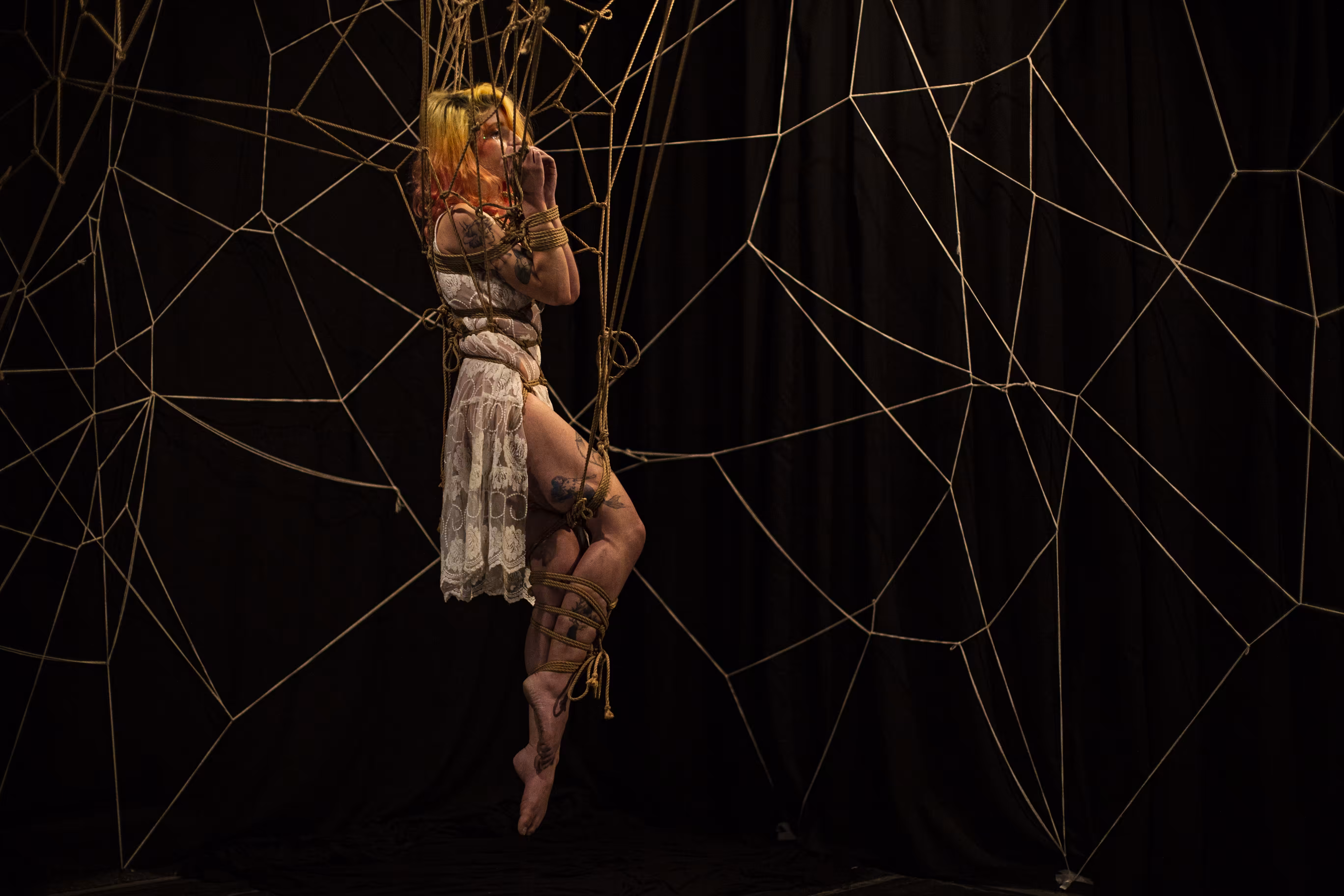 Web #5