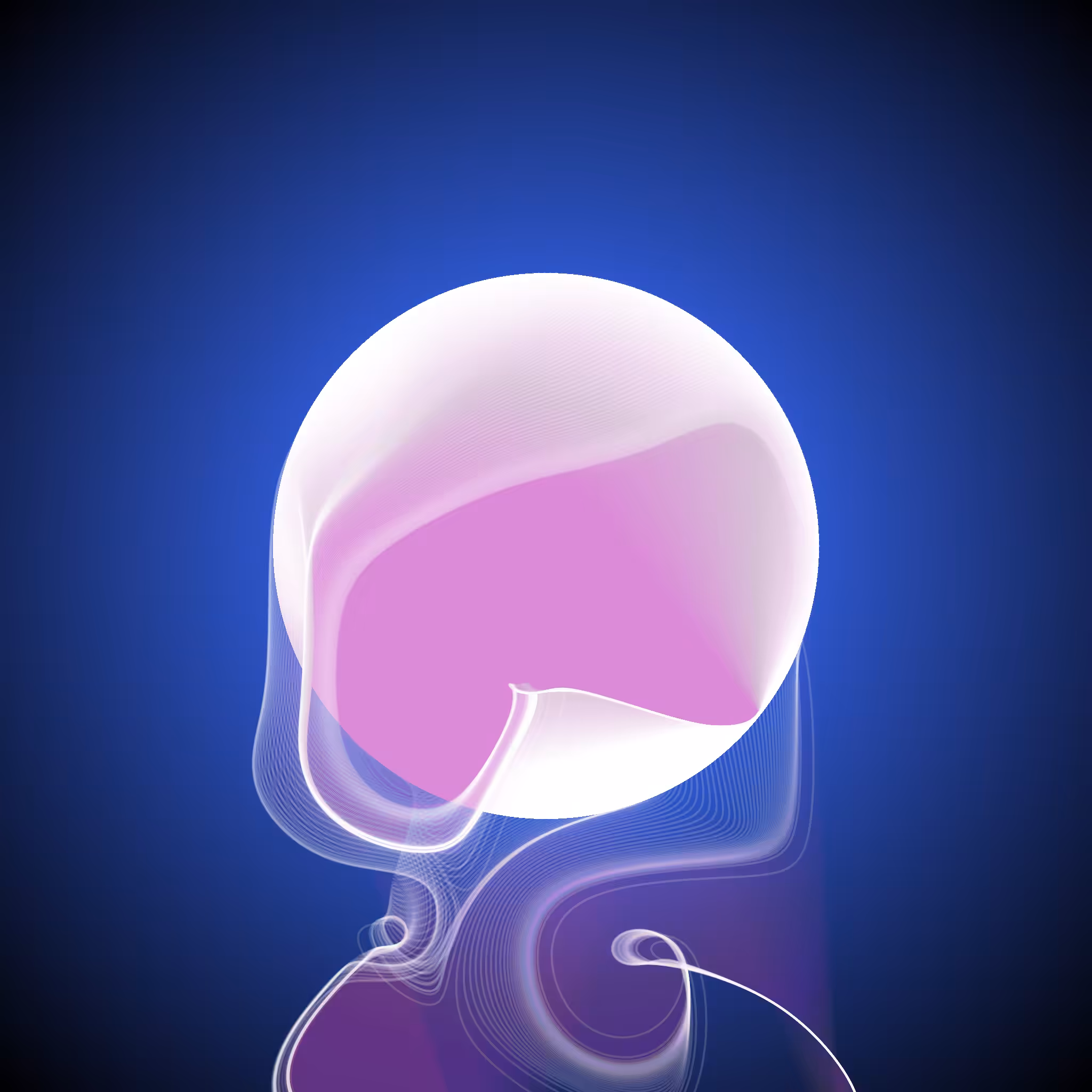 Veil 02