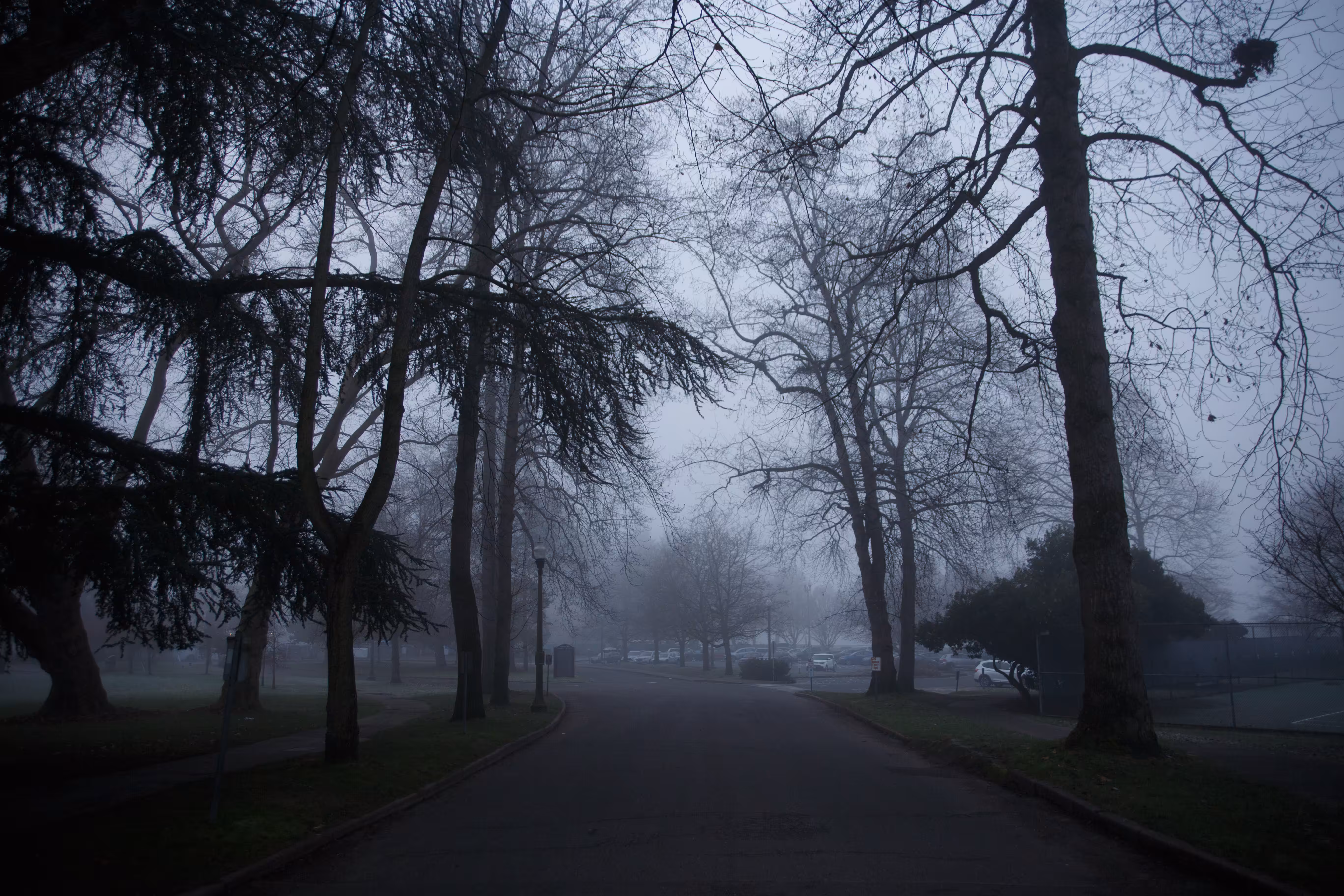 Tangible Stillness - 14