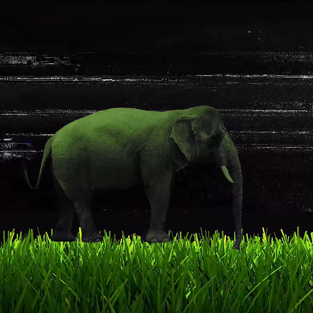 Elephants and Grass