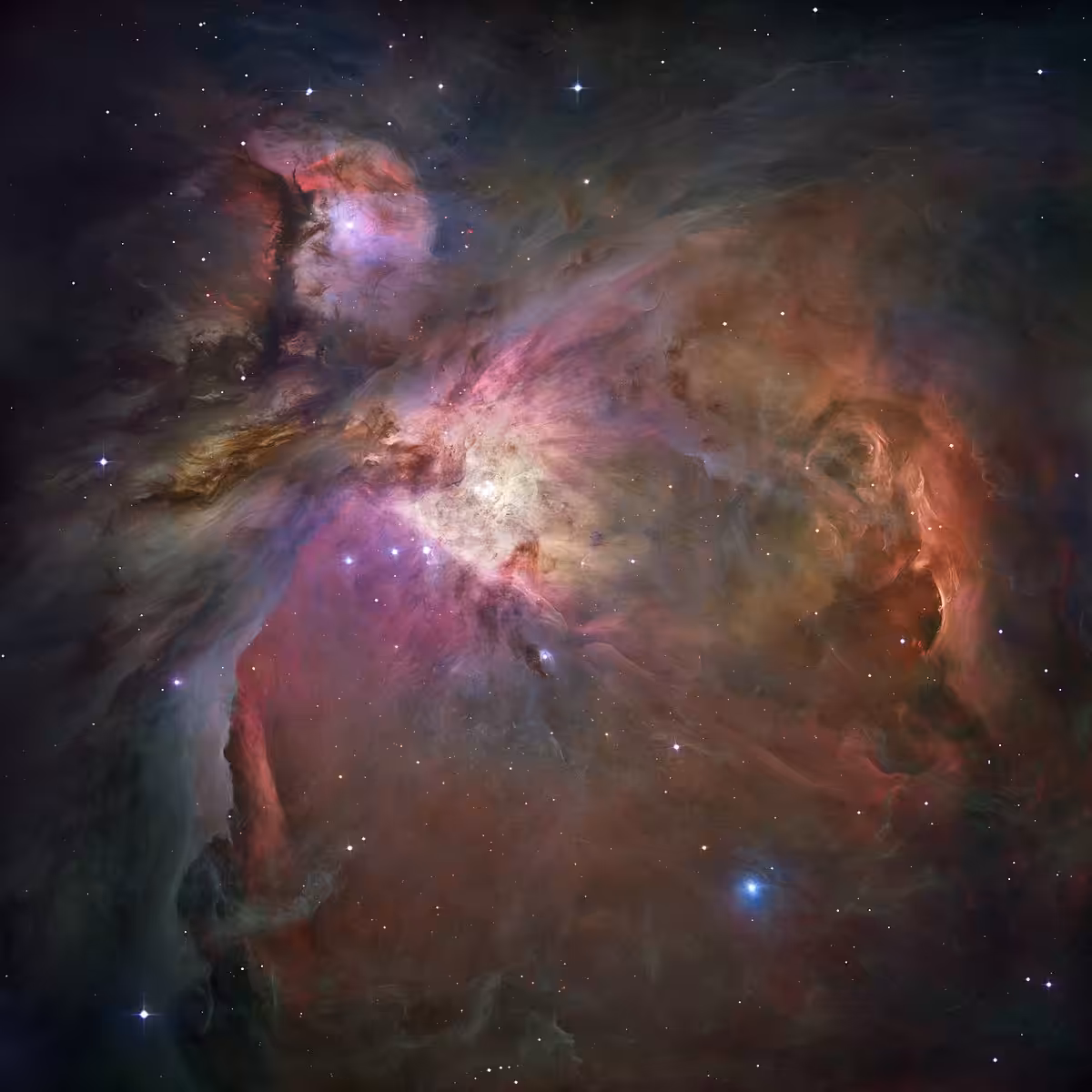 Orion