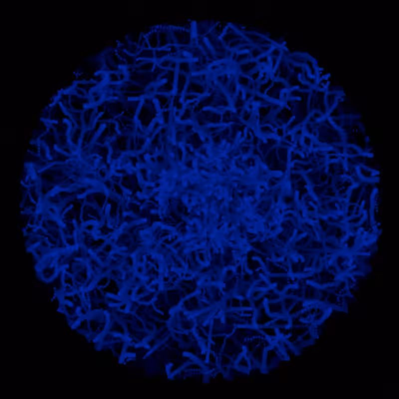 Petri Dish #26