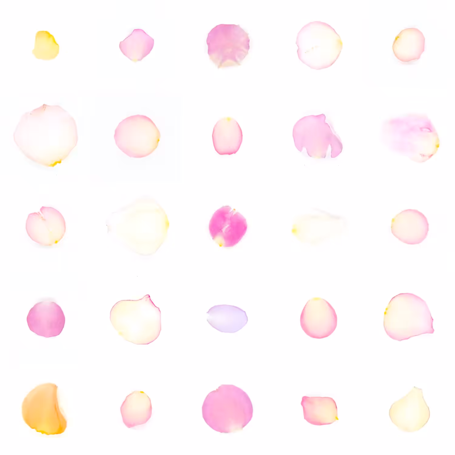 Infinite Petals 5x5#20716