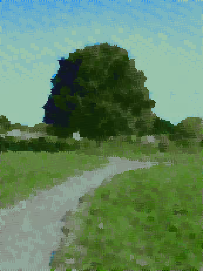 the trees were whispering to each other