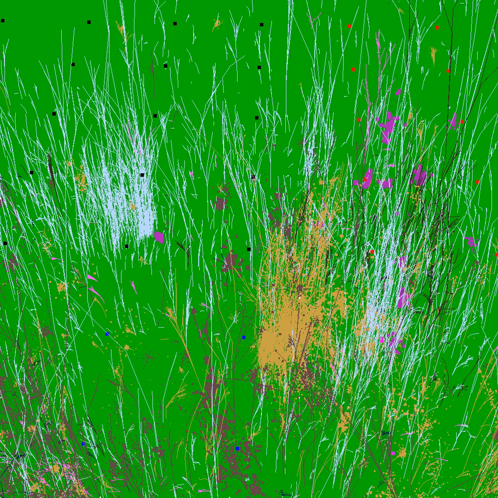 Infinite Garden: 8125 Flowers