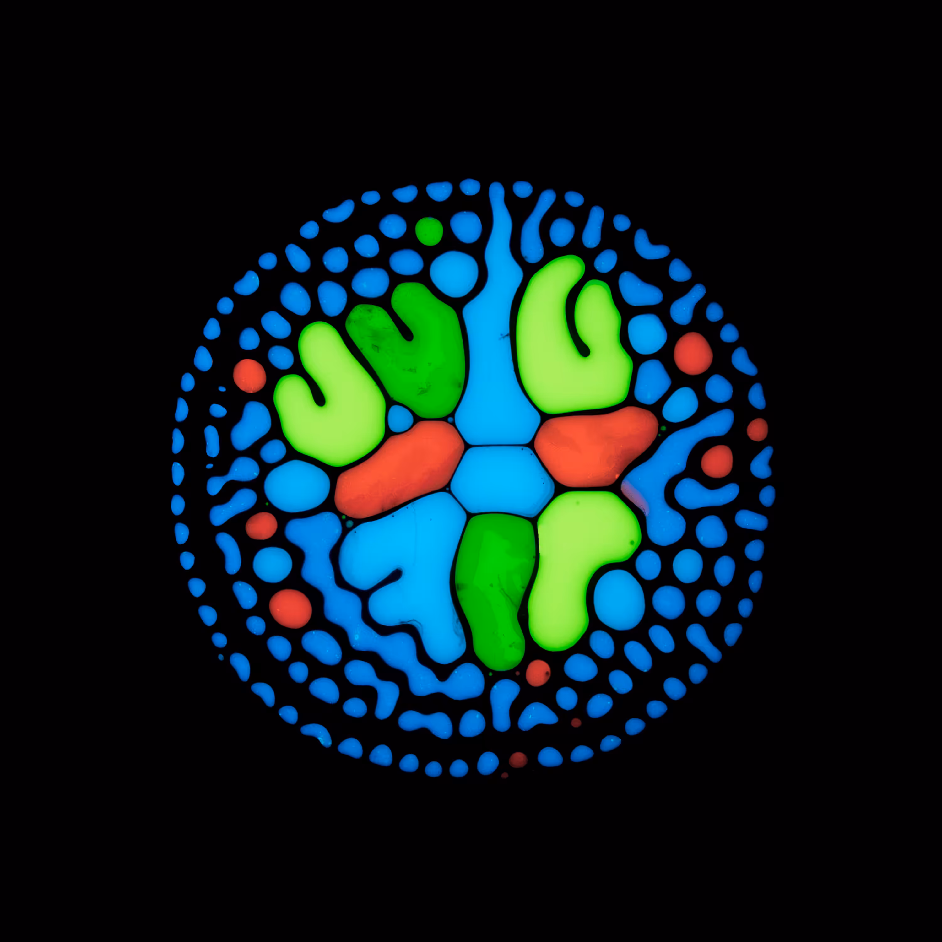 Haematopoiesis #71