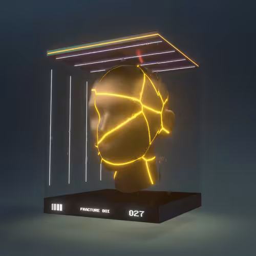 Fracture Boi: FRACTURE BOI - 027