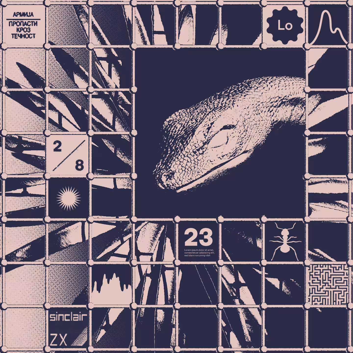 Genesis #26