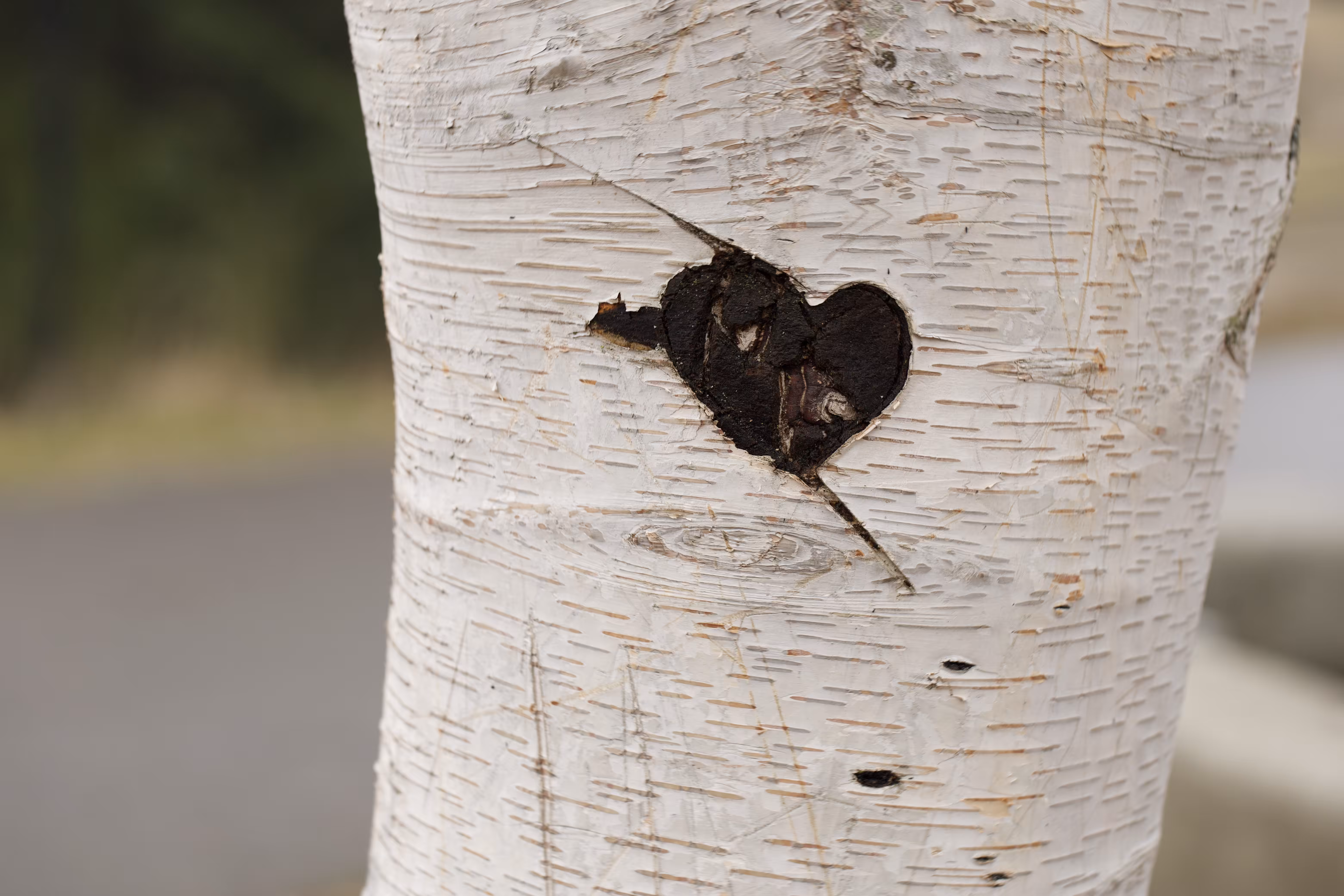 Heart U