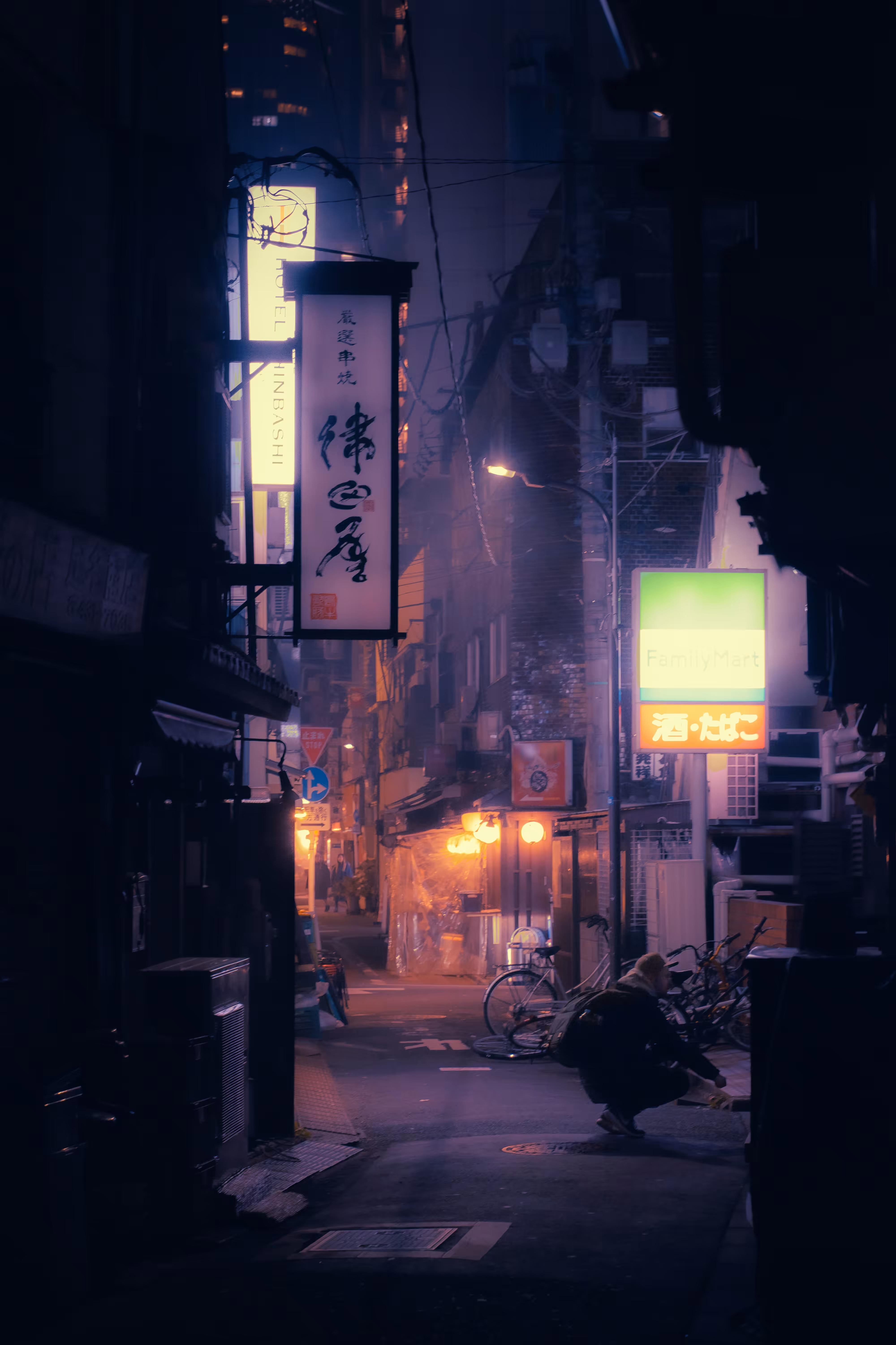 Tokyo - Unvisited Streets 04/04