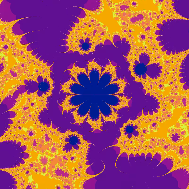 Morphology #80