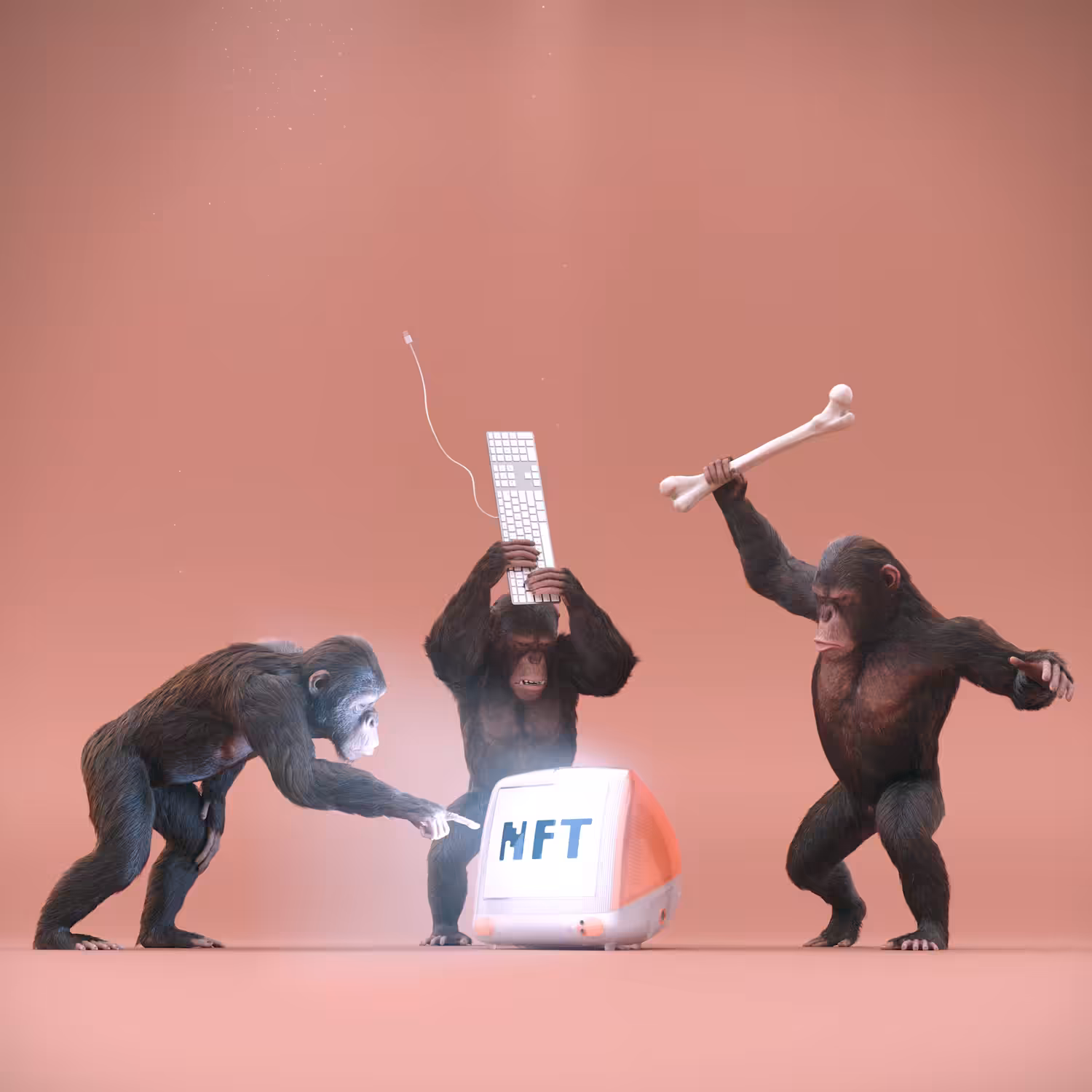 The NFTs Are In The Computer?