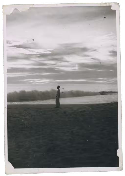 Vacations #11