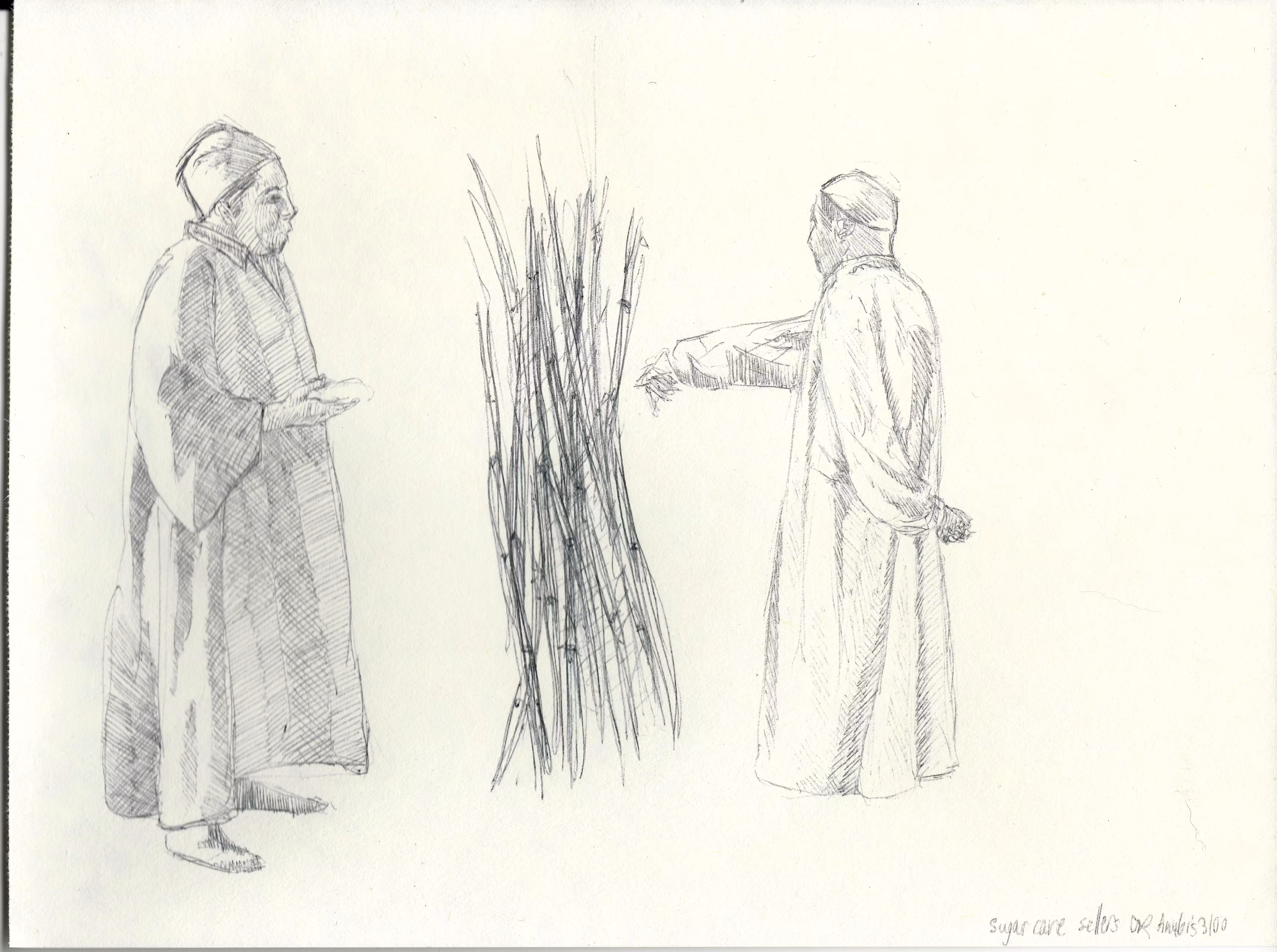 Sugarcane sellers study 2