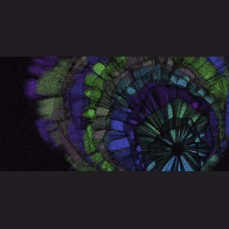 Chameleon #54