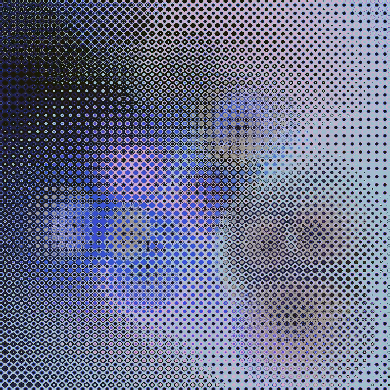 Focus #71