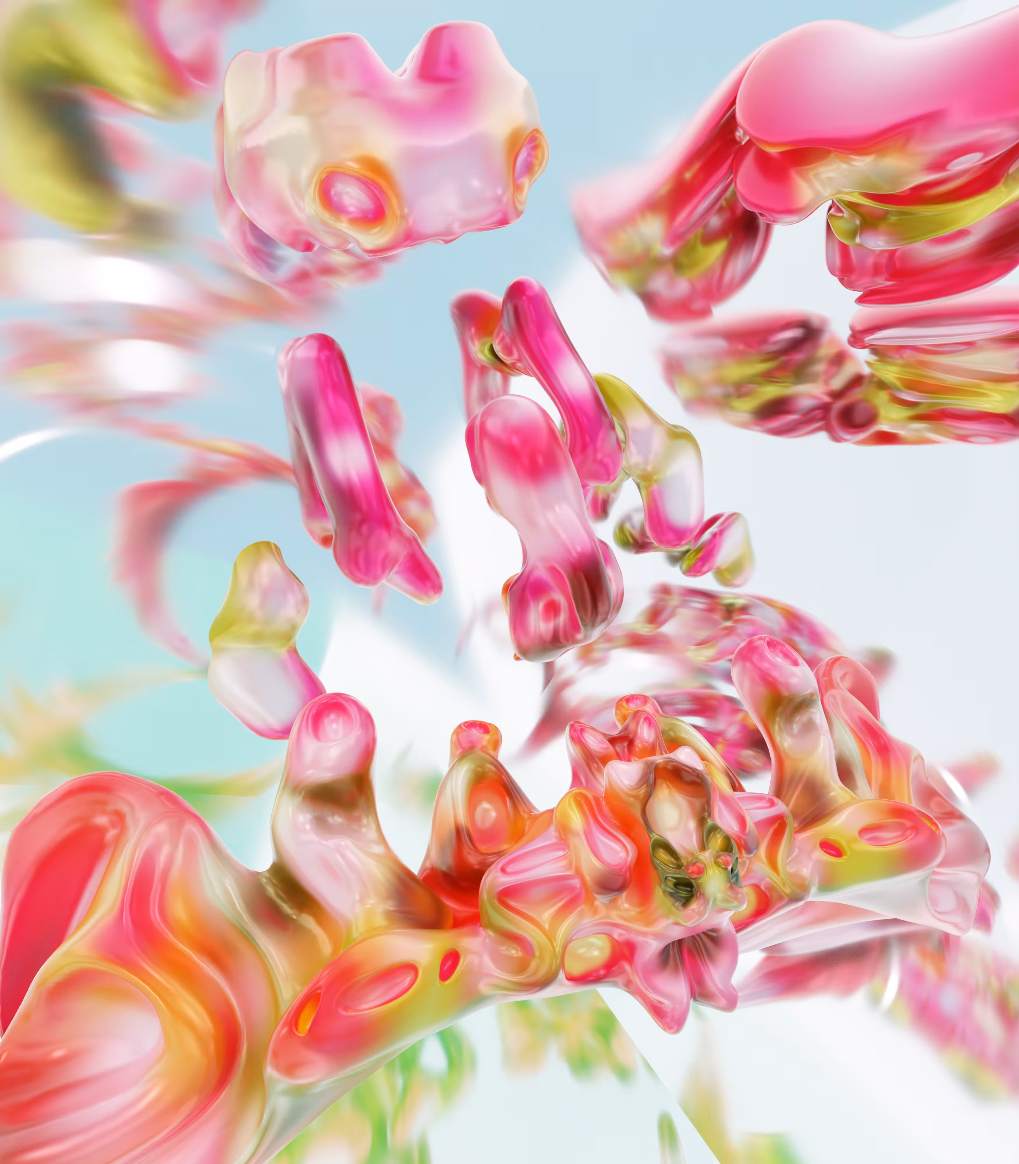 Orchidea