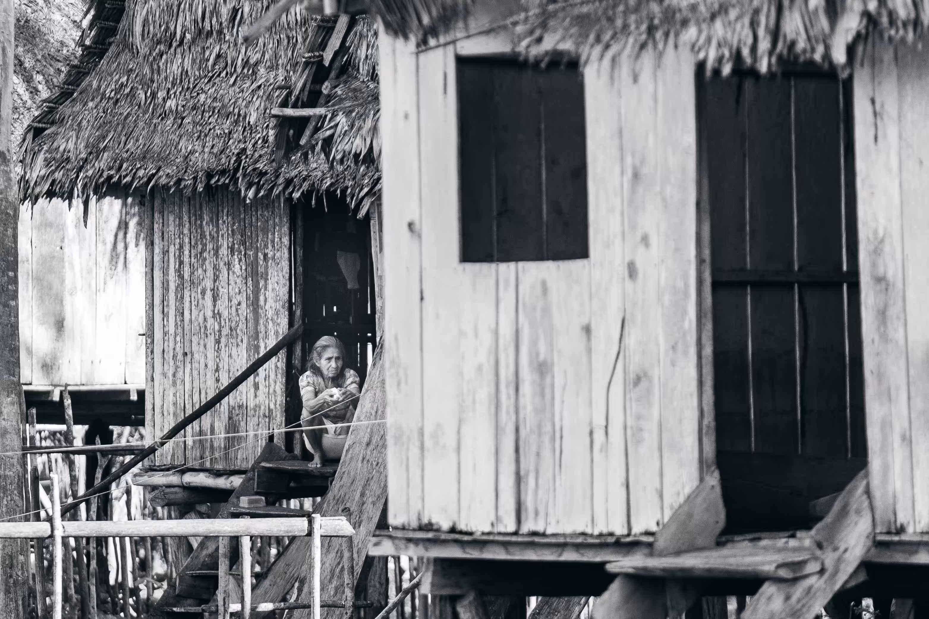 Amazonia 03