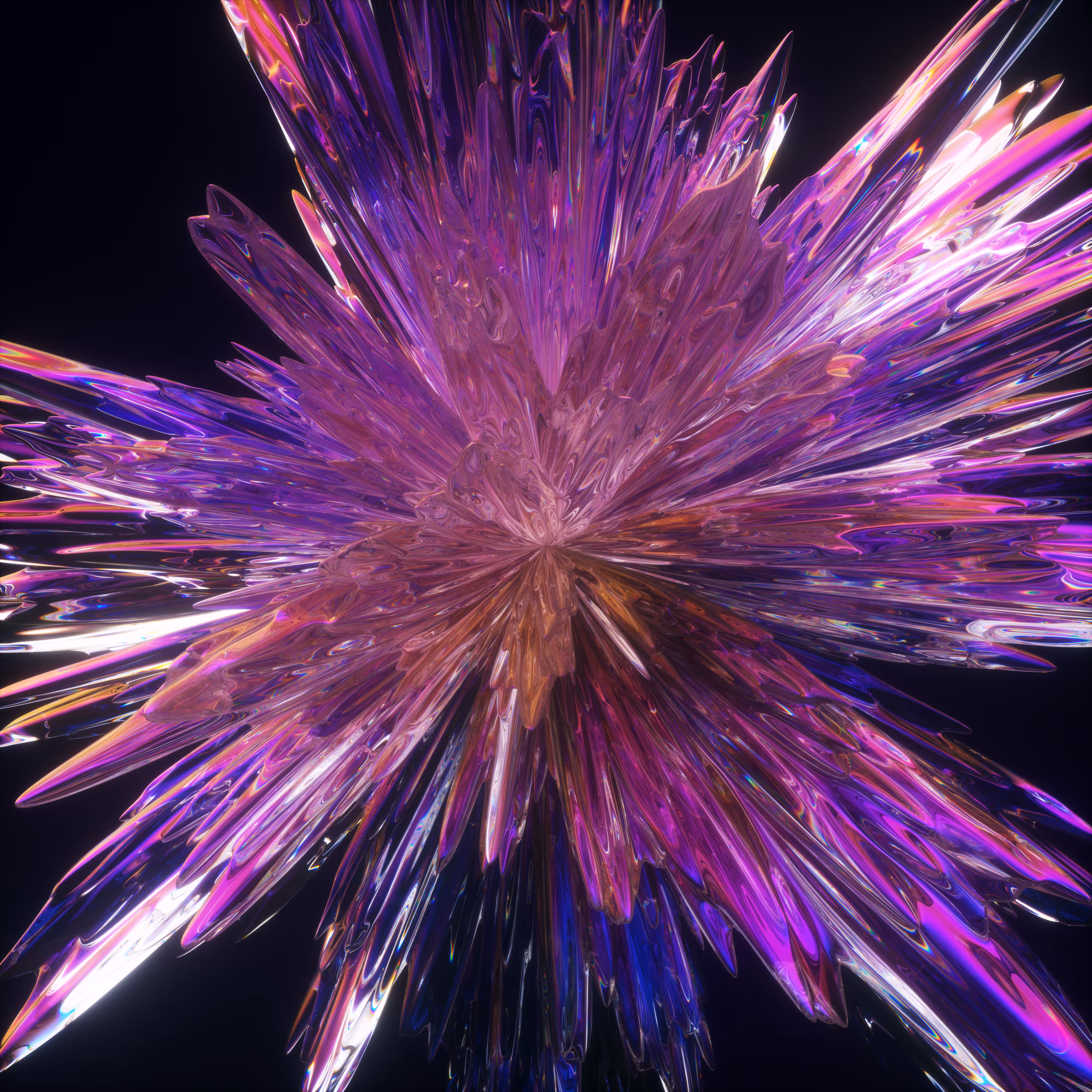 Burst 008