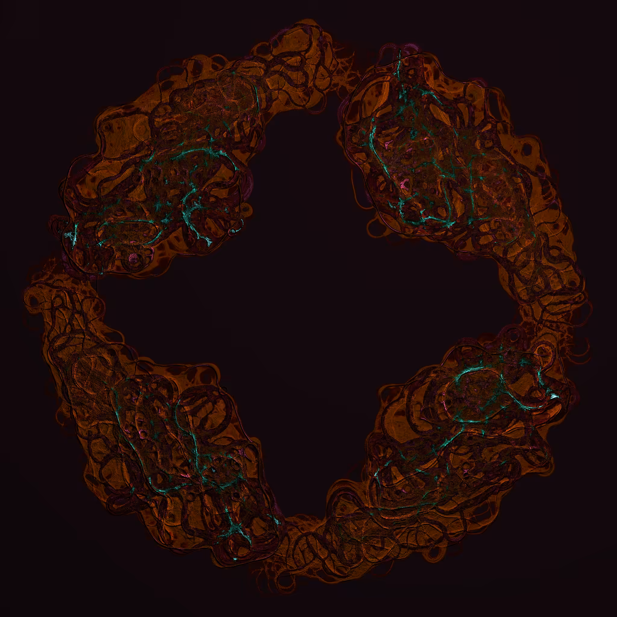 coalescence #167