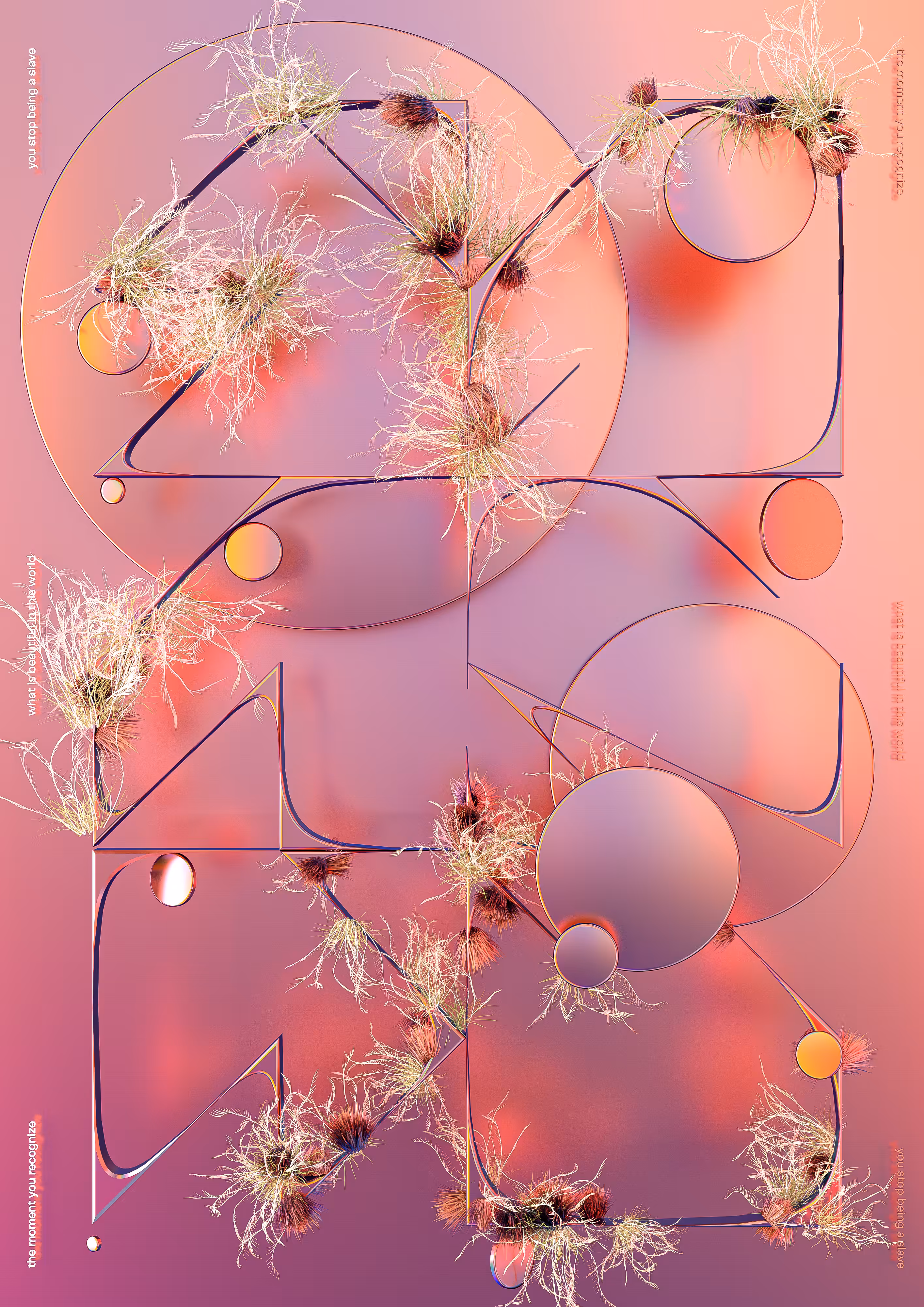 ✹ A_113 ✹